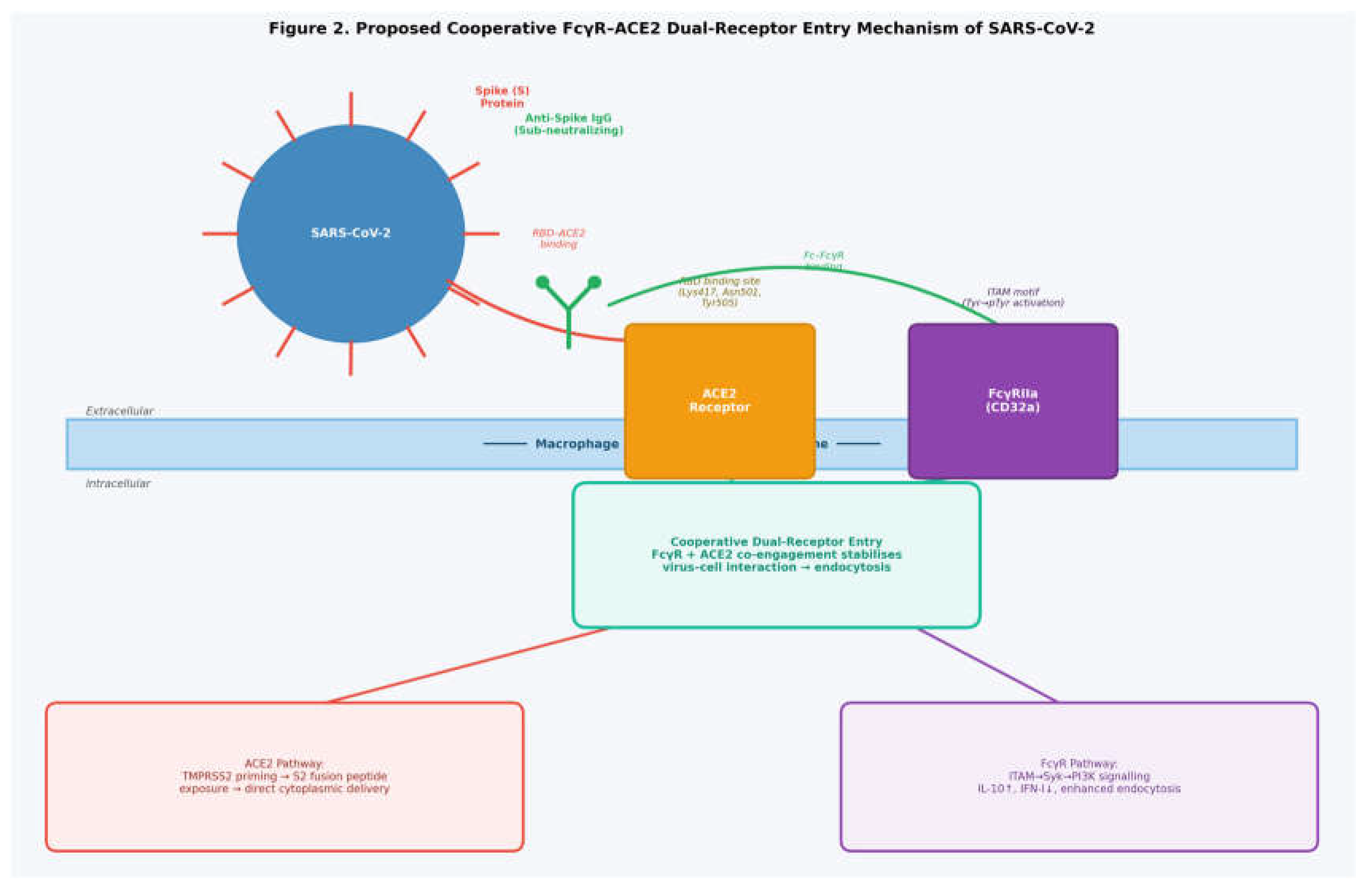 Preprints 207861 g002 Preprints 207861 g002