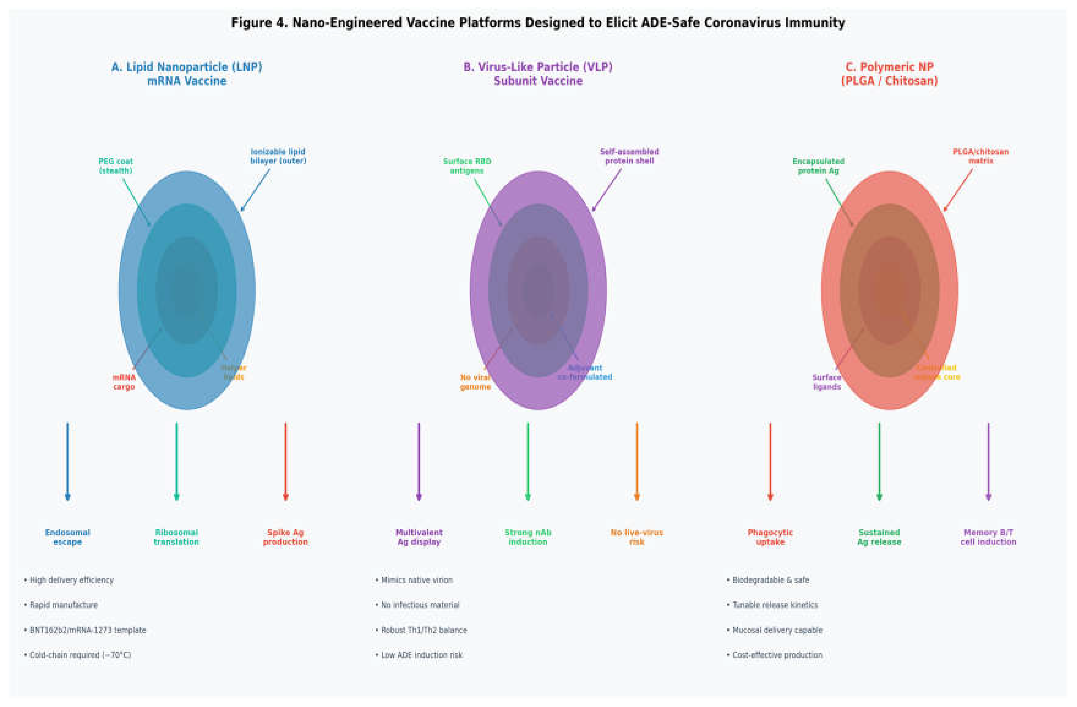 Preprints 207861 g004 Preprints 207861 g004