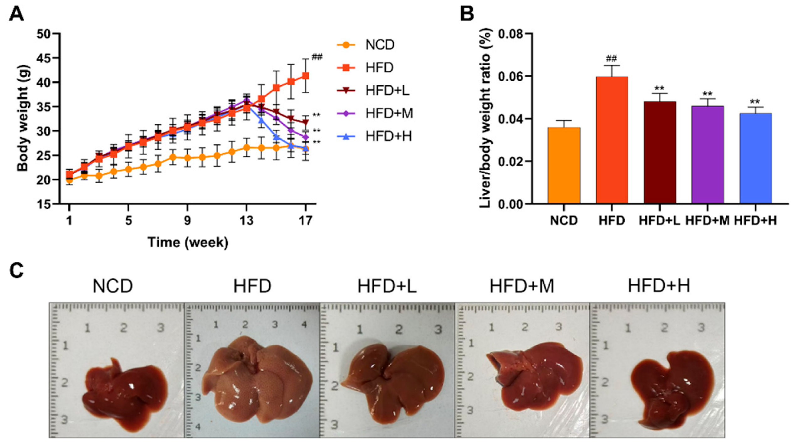 Preprints 194339 g001