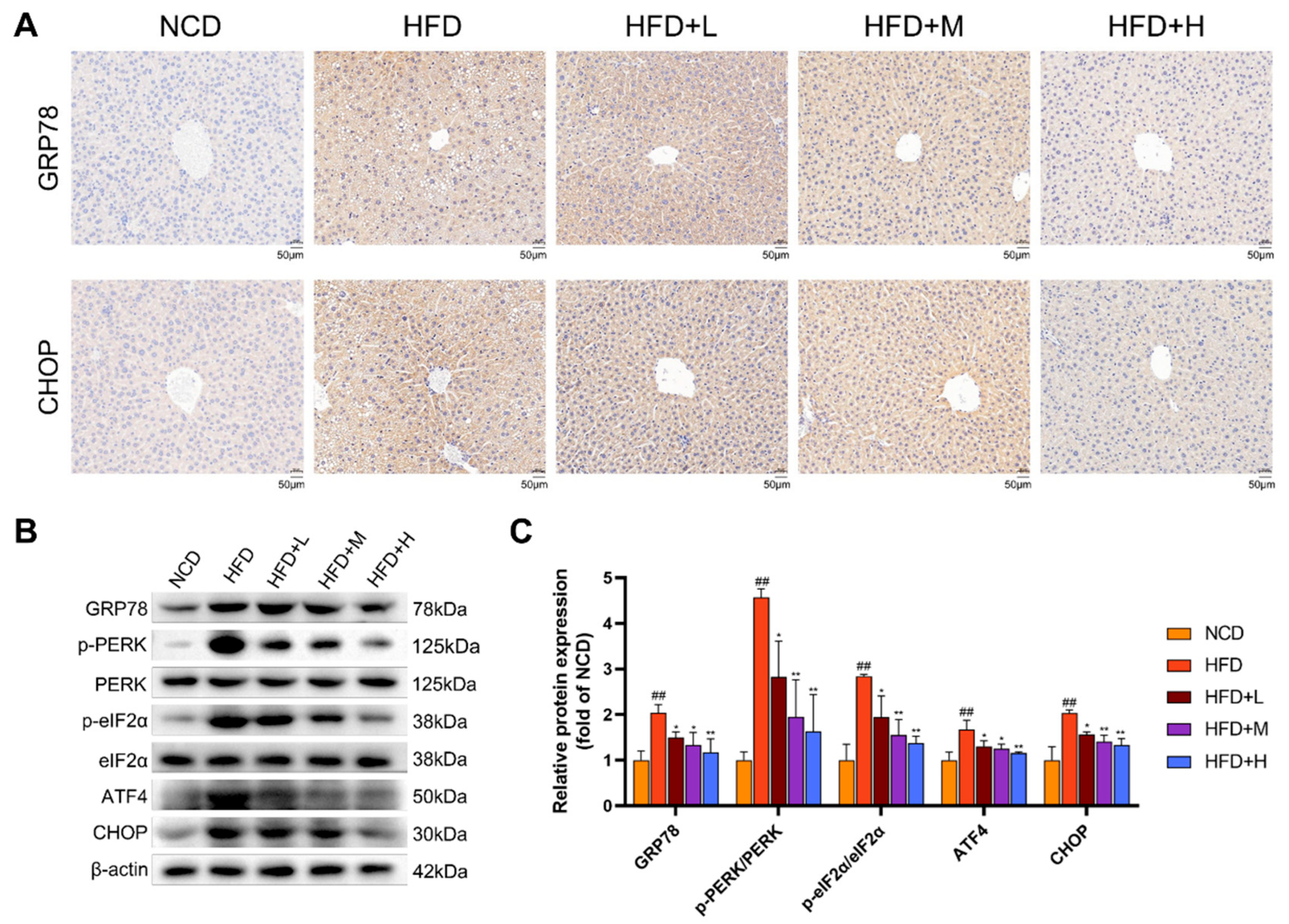 Preprints 194339 g005