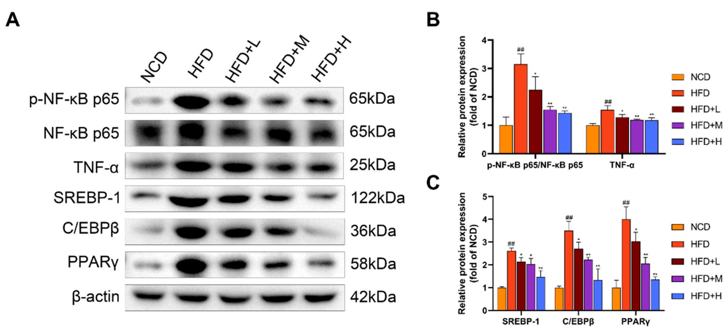 Preprints 194339 g006