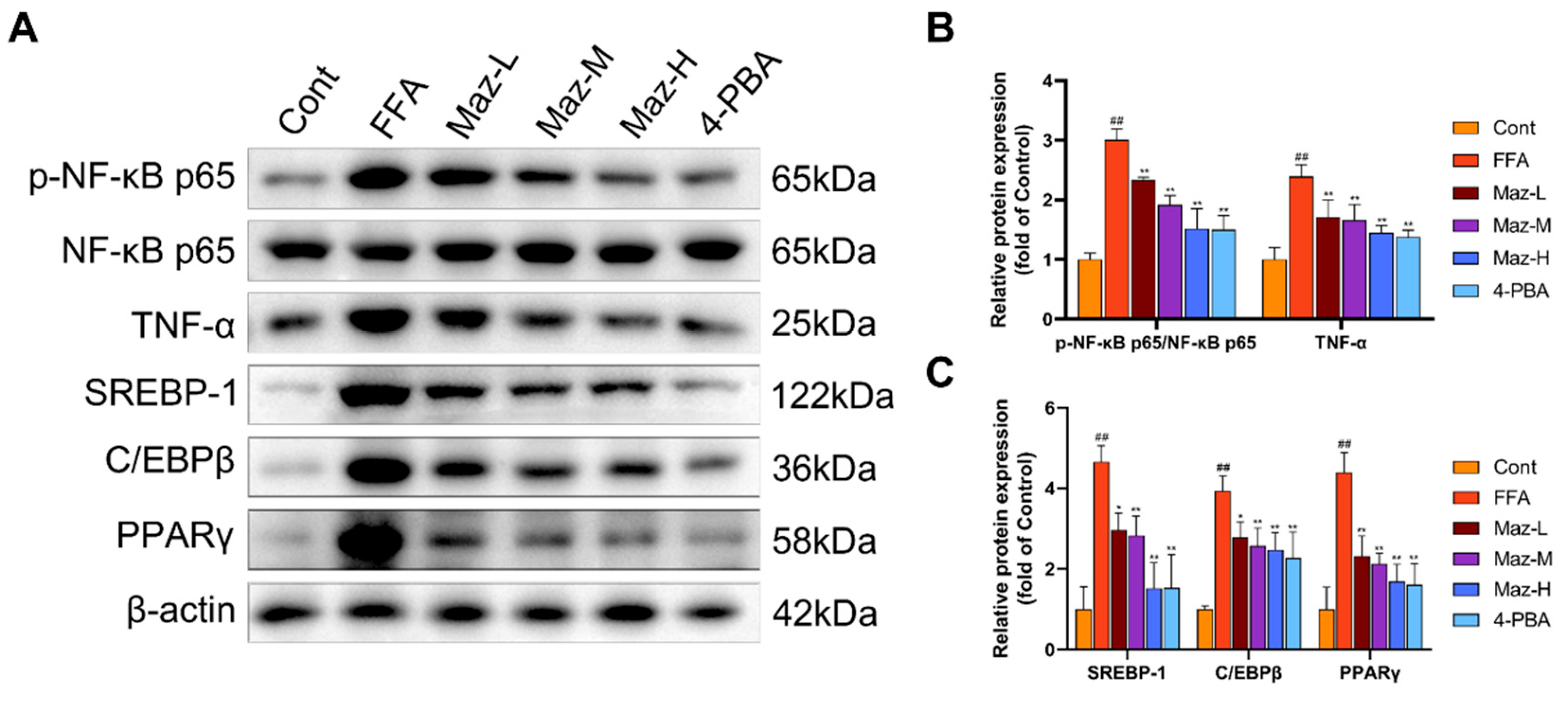 Preprints 194339 g010