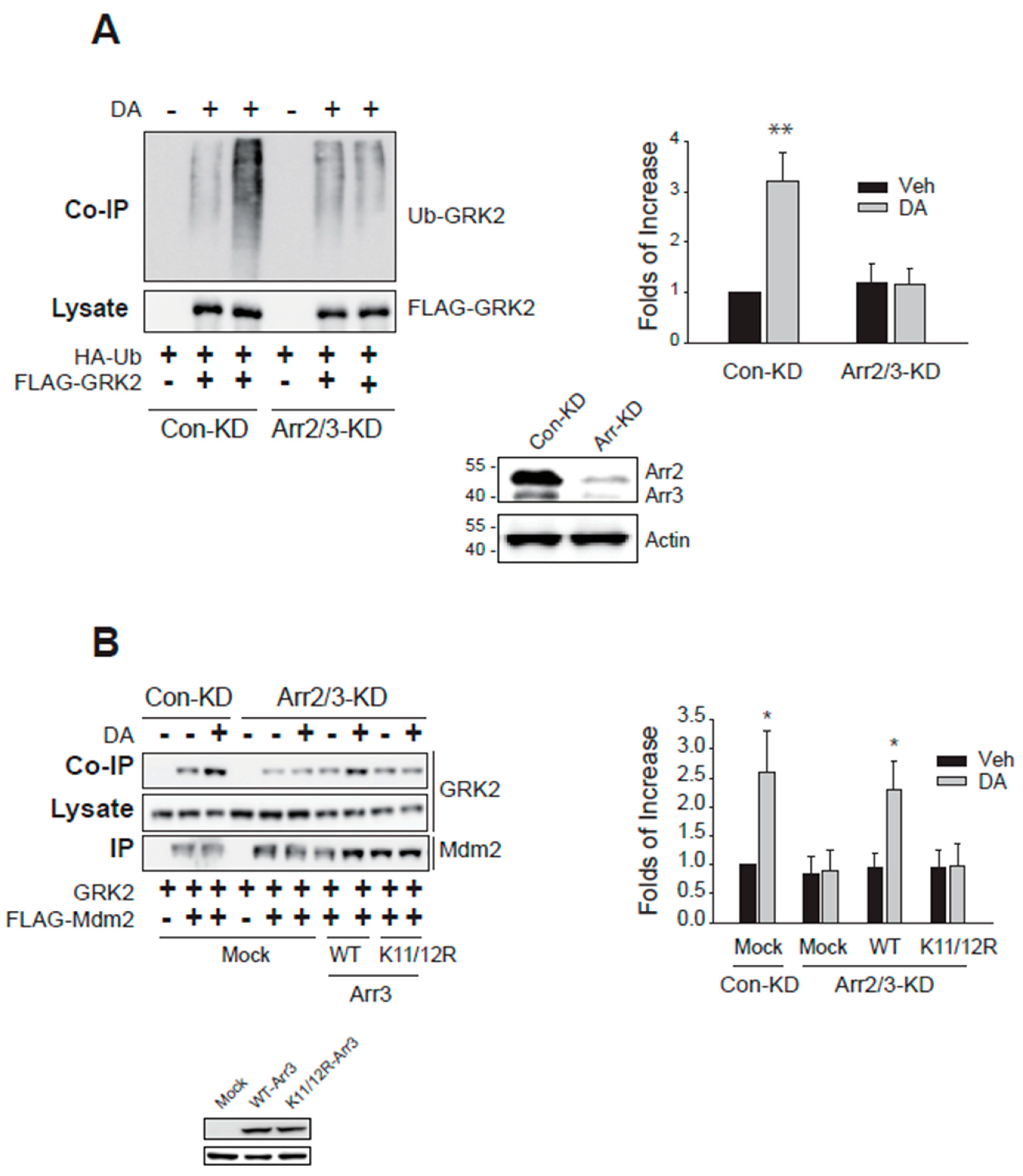 Preprints 108075 g002