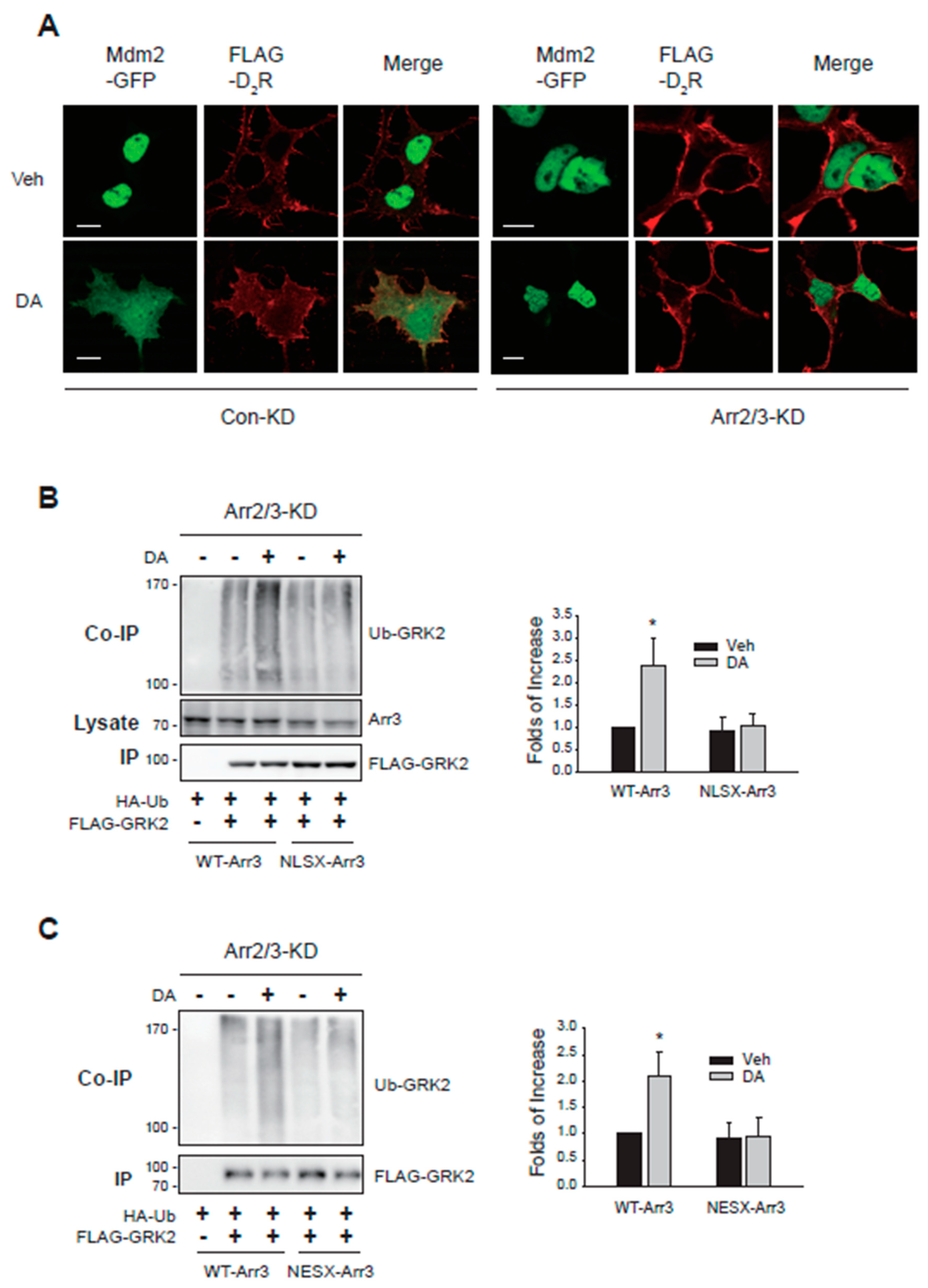 Preprints 108075 g004