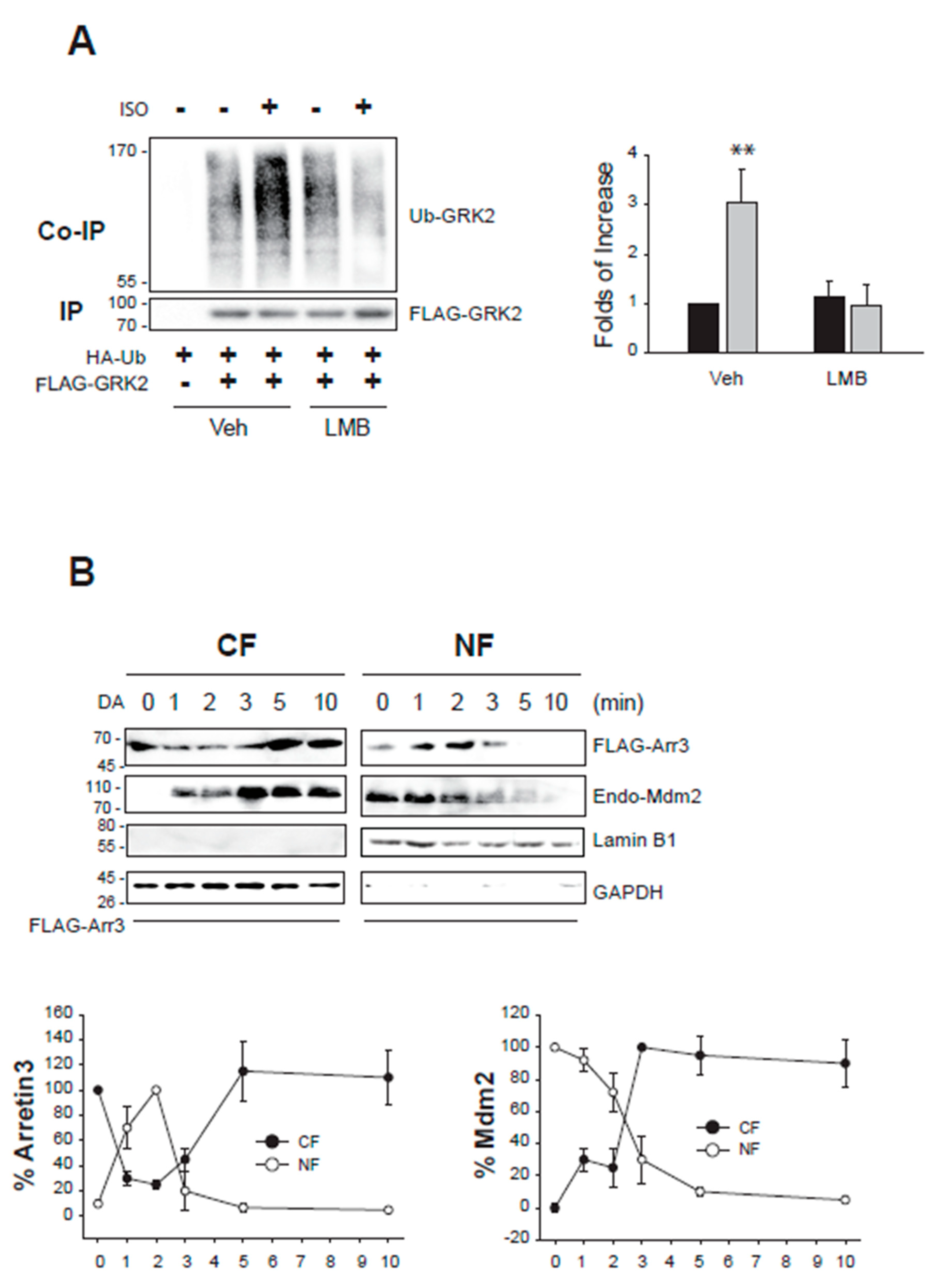 Preprints 108075 g005