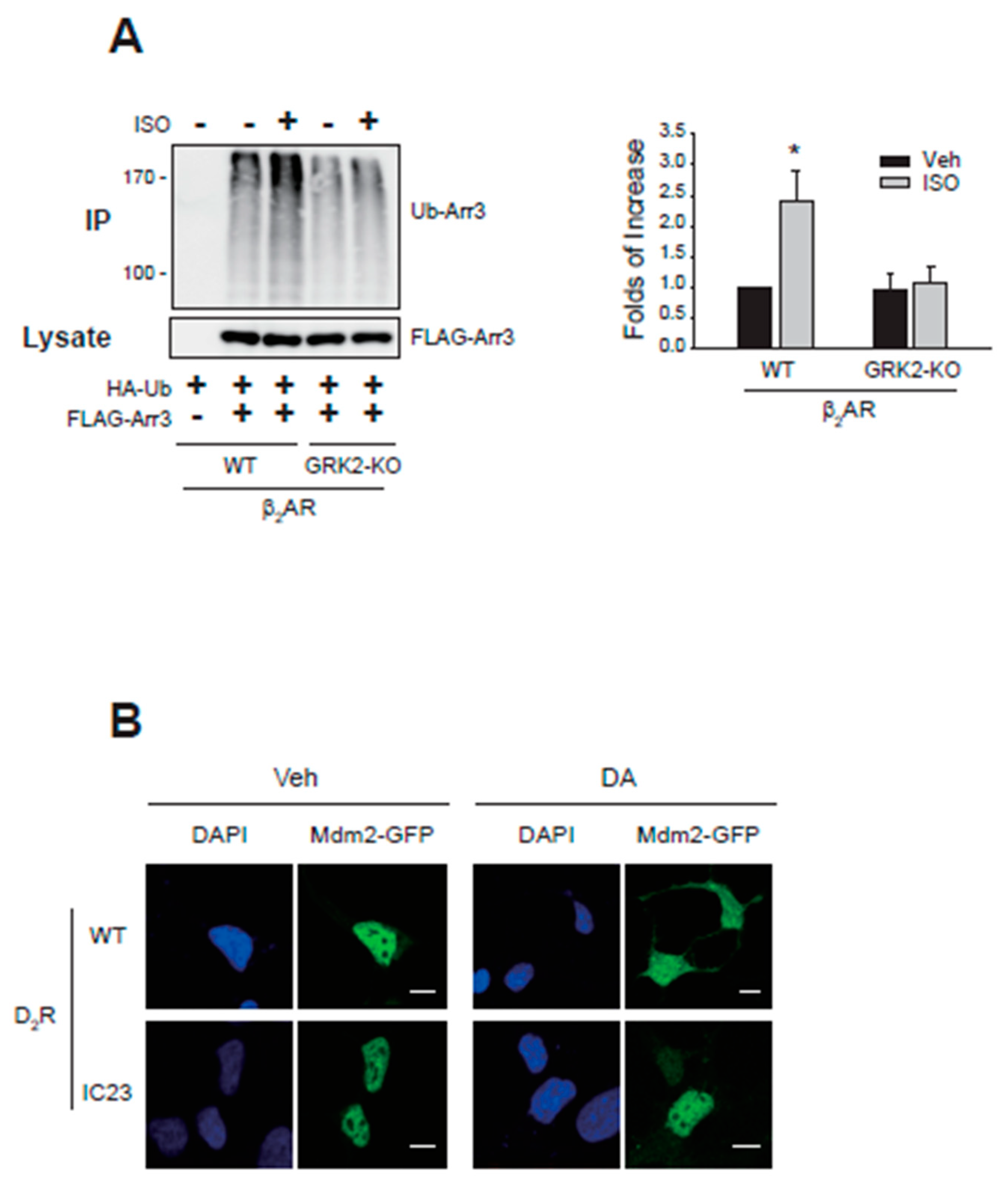 Preprints 108075 g007