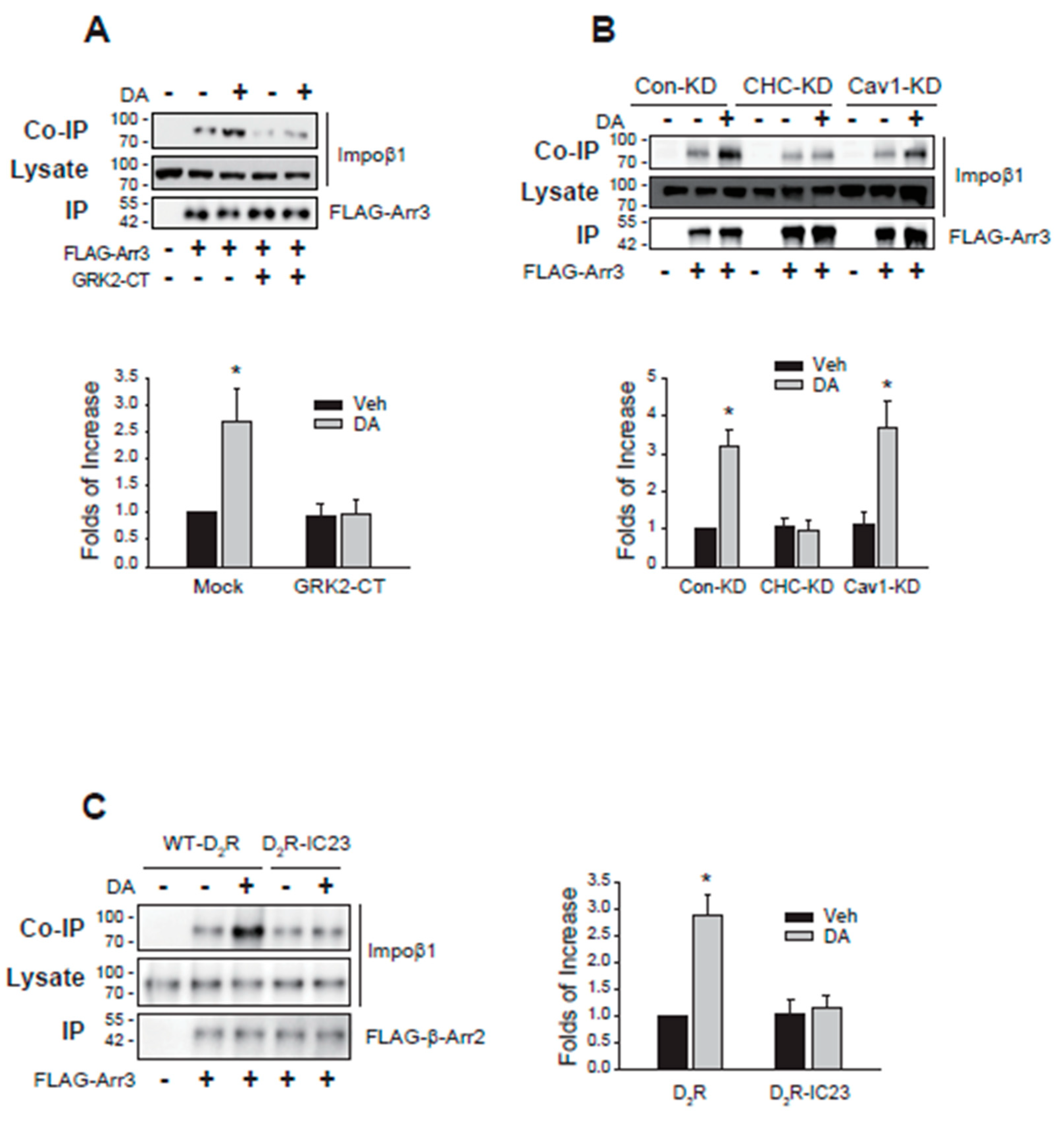 Preprints 108075 g009