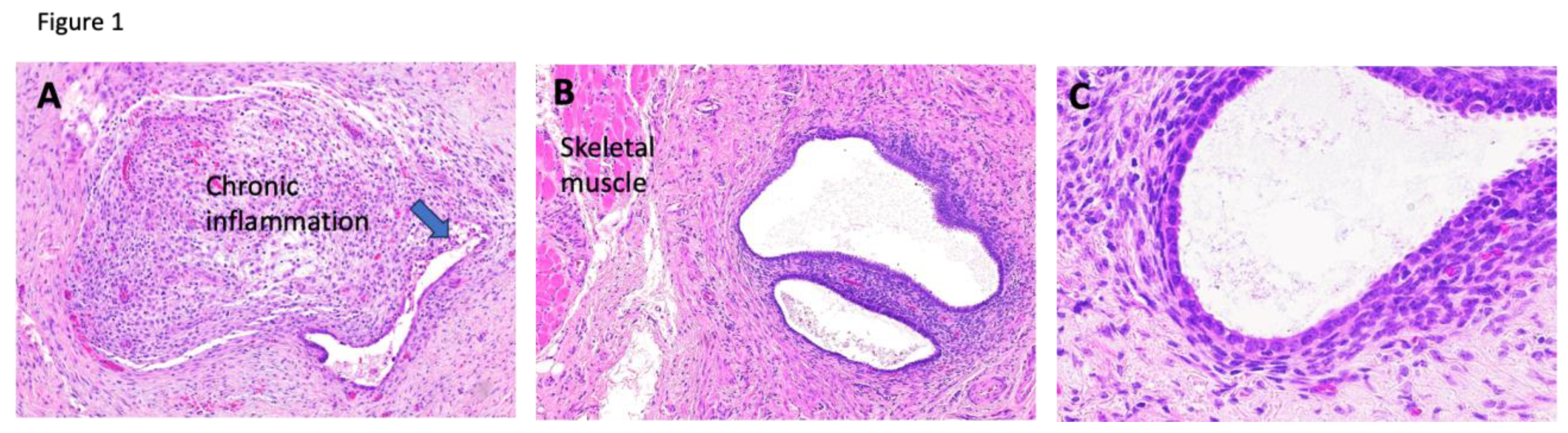 Preprints 178428 g001