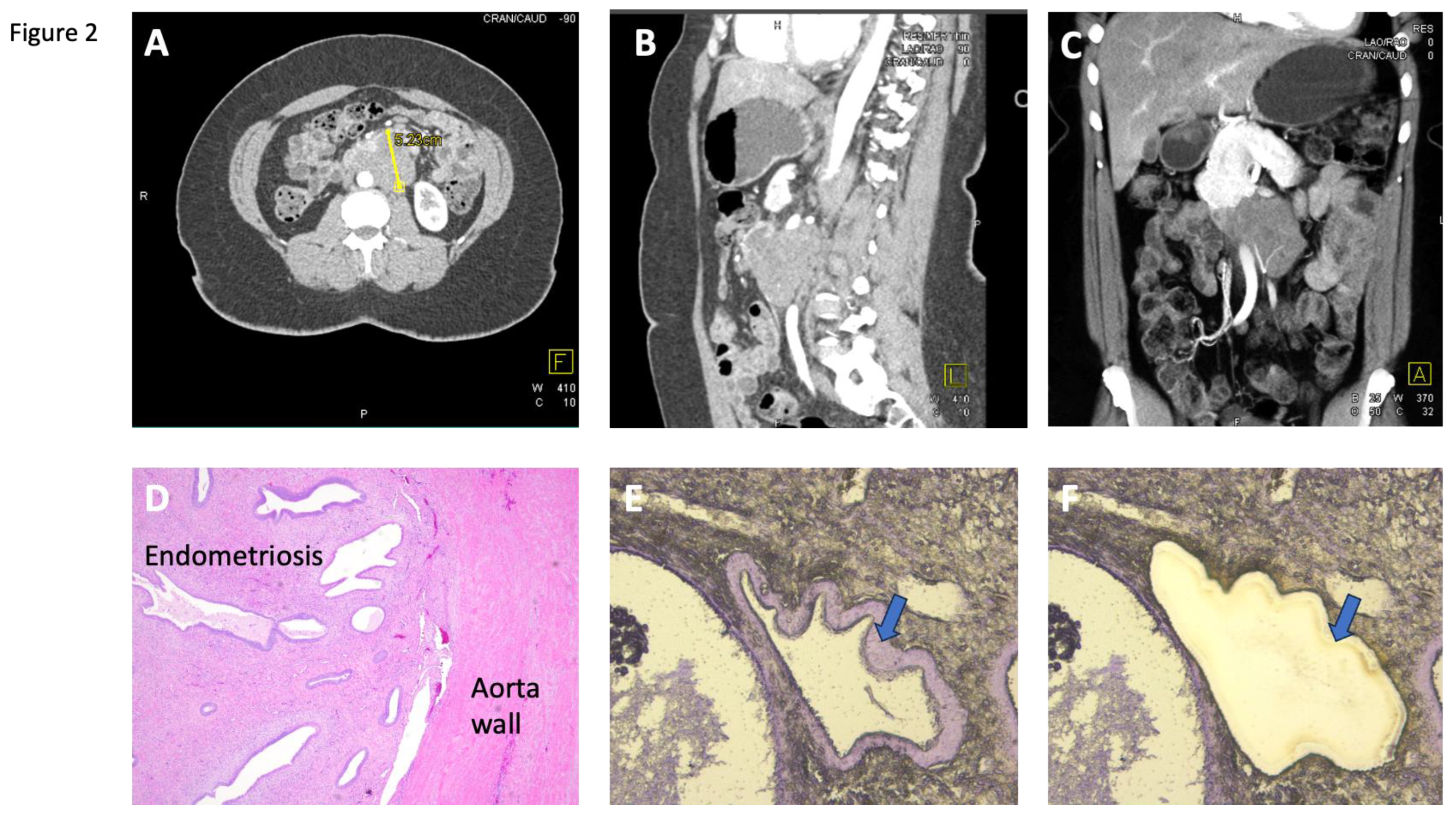 Preprints 178428 g002
