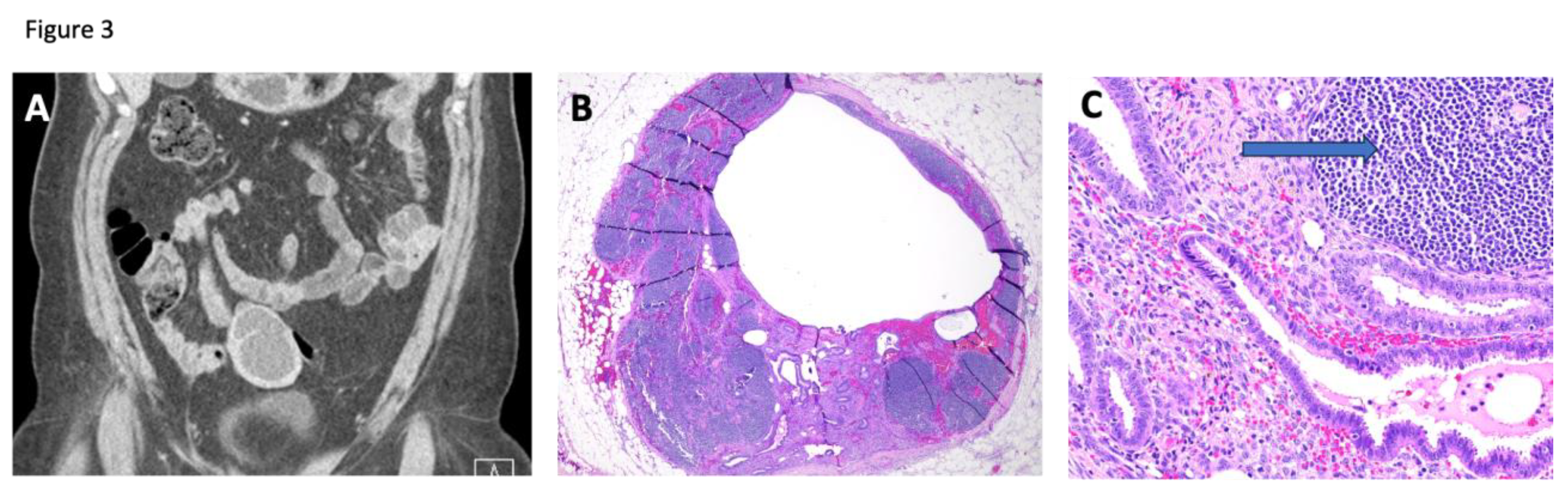 Preprints 178428 g003