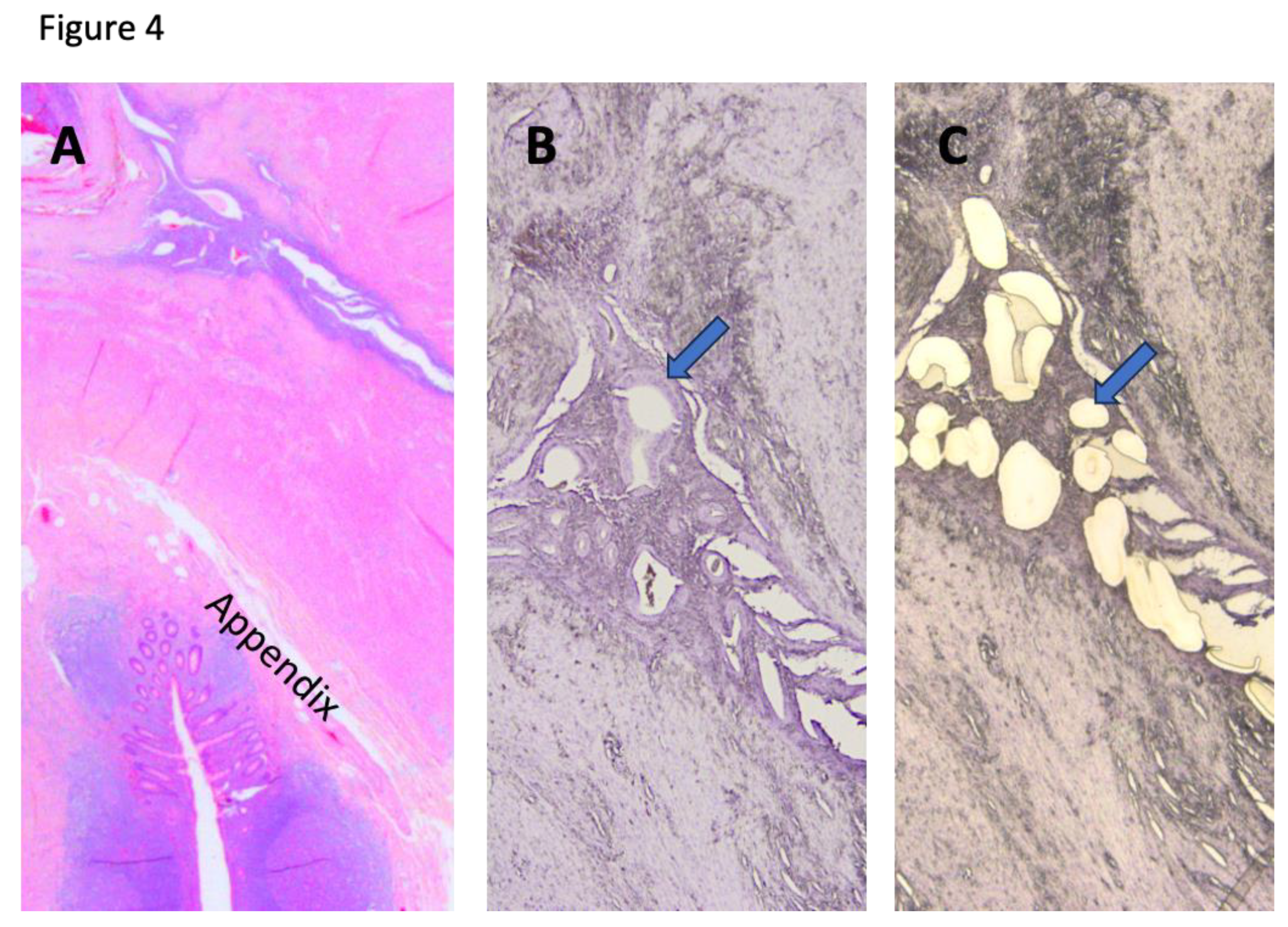 Preprints 178428 g004
