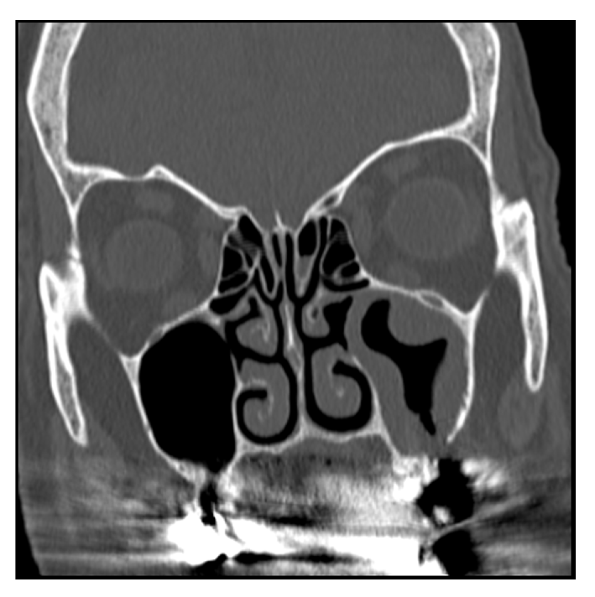 Preprints 161883 g003