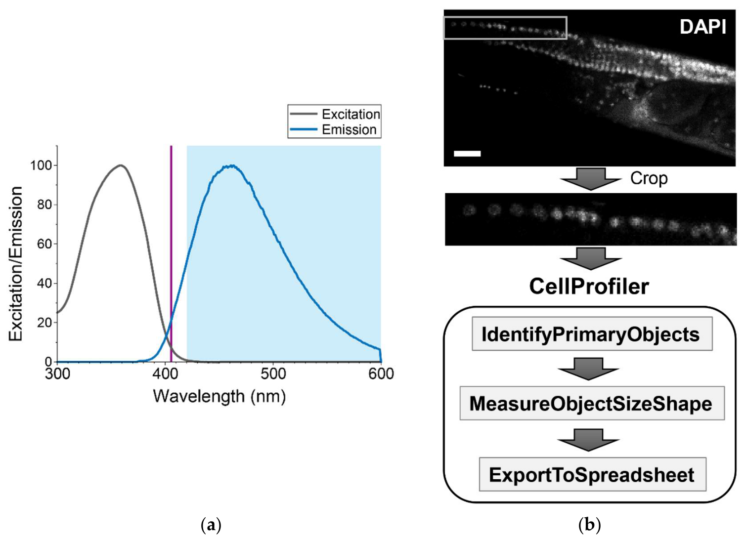 Preprints 227130 g002