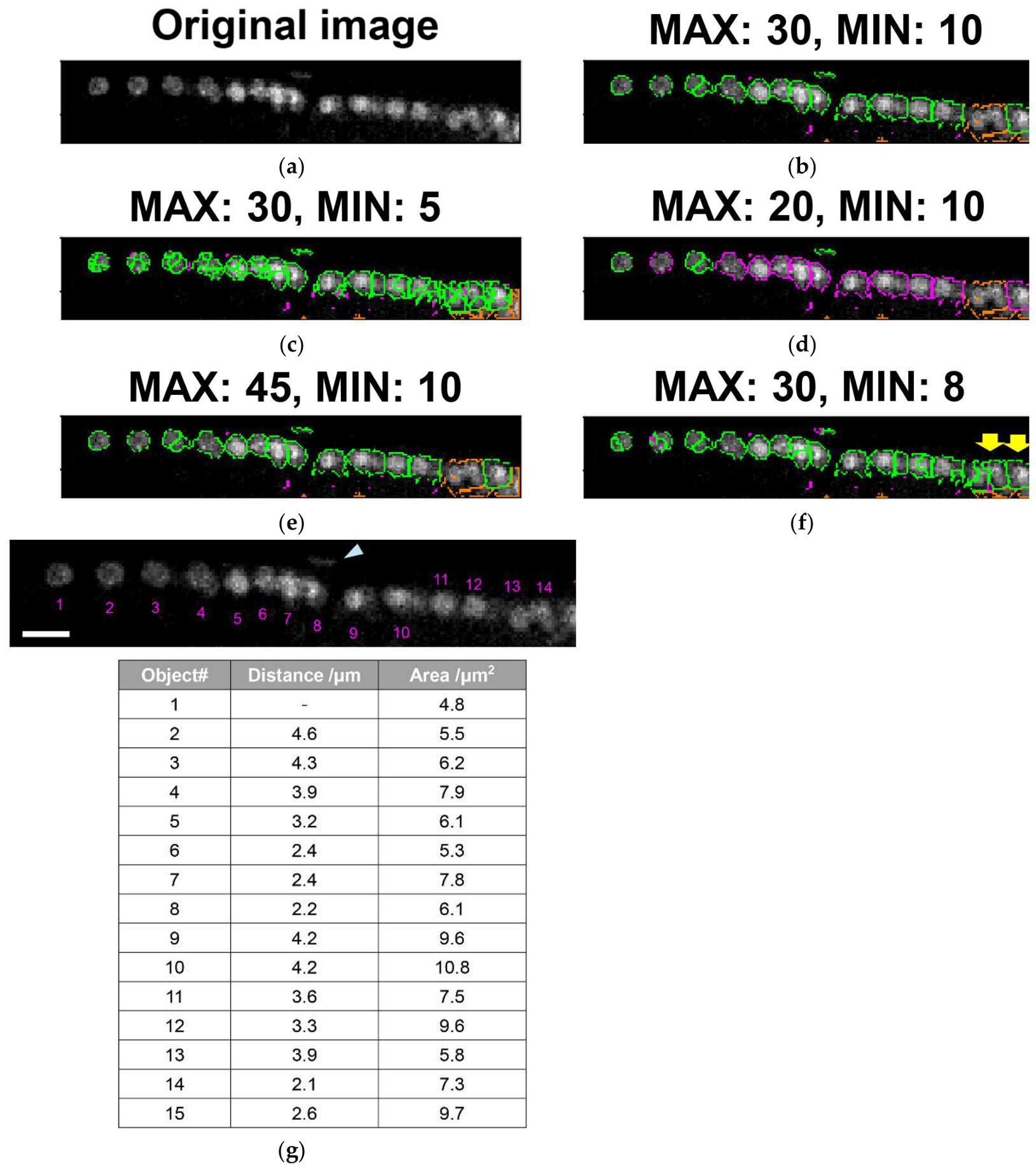 Preprints 227130 g003
