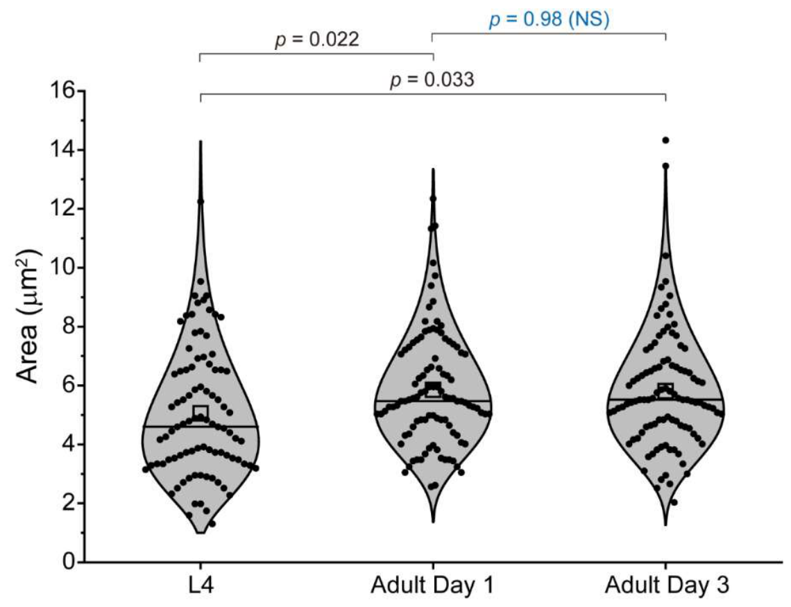Preprints 227130 g004