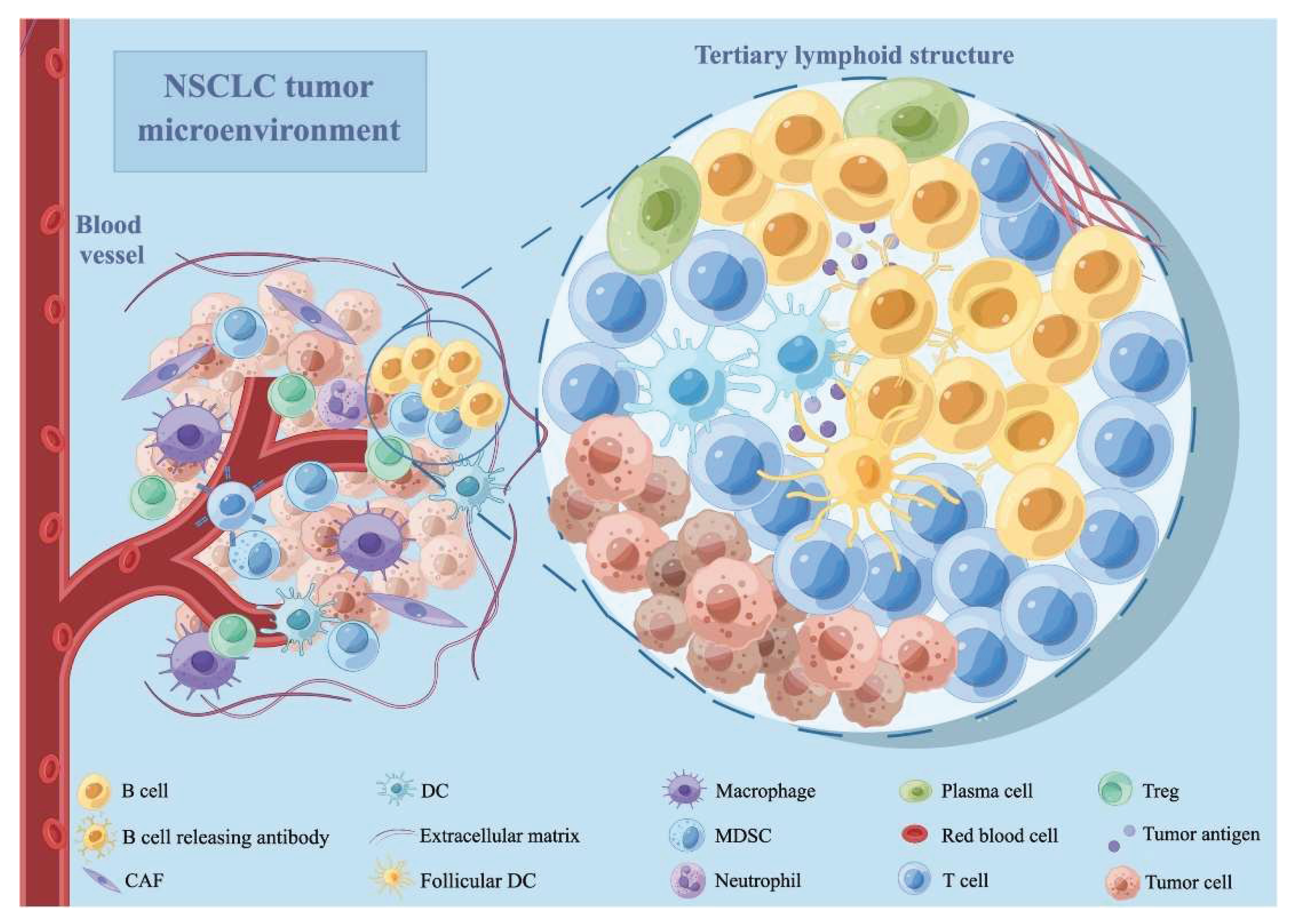 Preprints 159301 g001