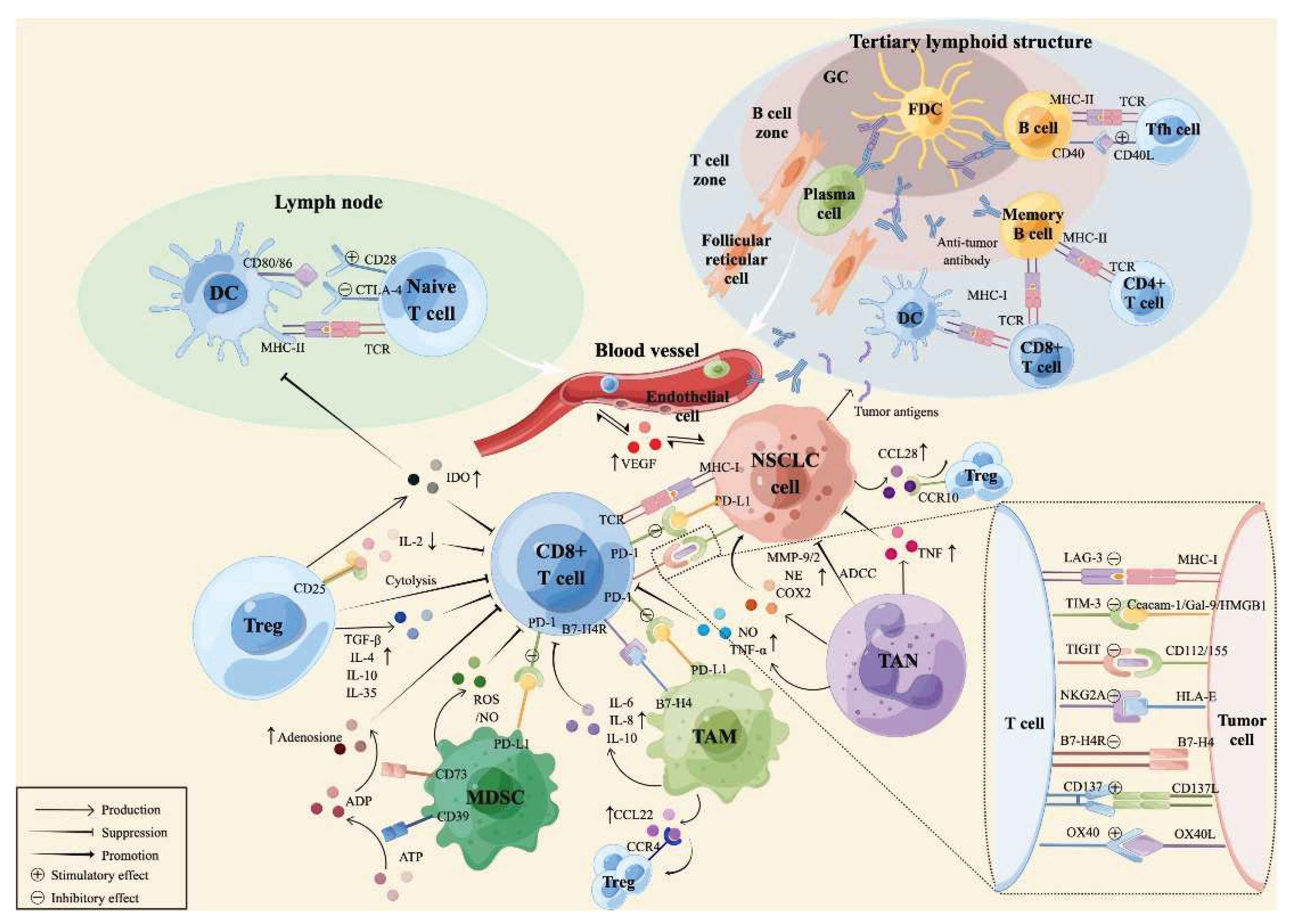 Preprints 159301 g002