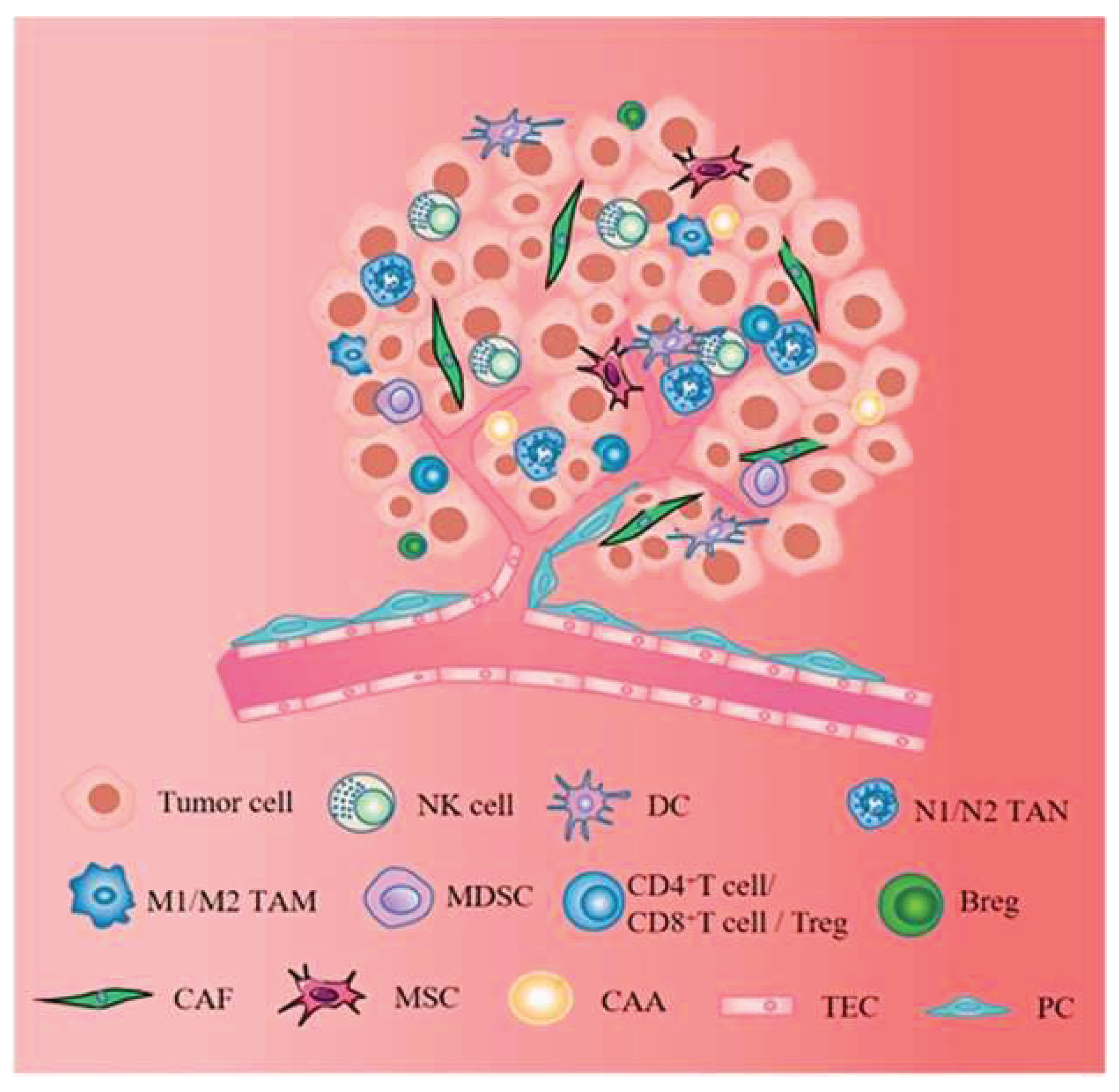 Preprints 159301 g003