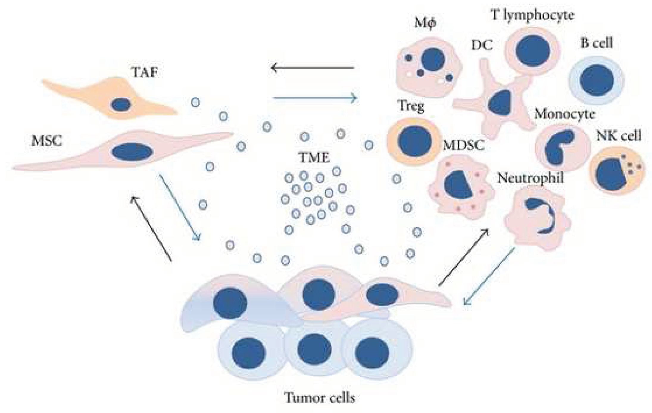 Preprints 159301 g004
