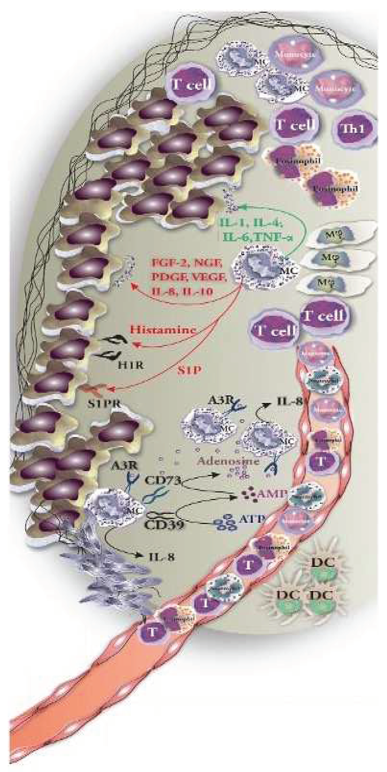 Preprints 159301 g005
