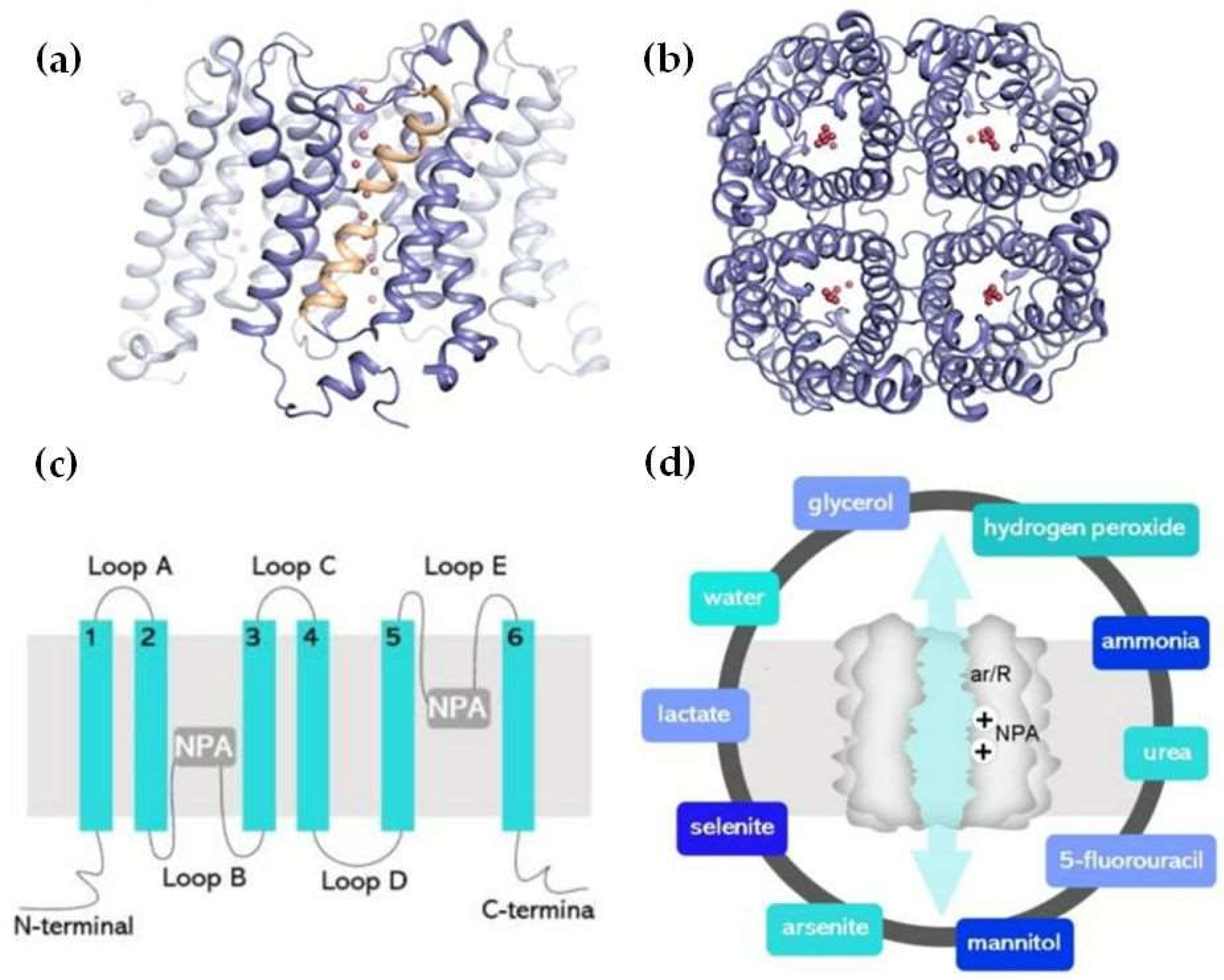 Preprints 141726 g001