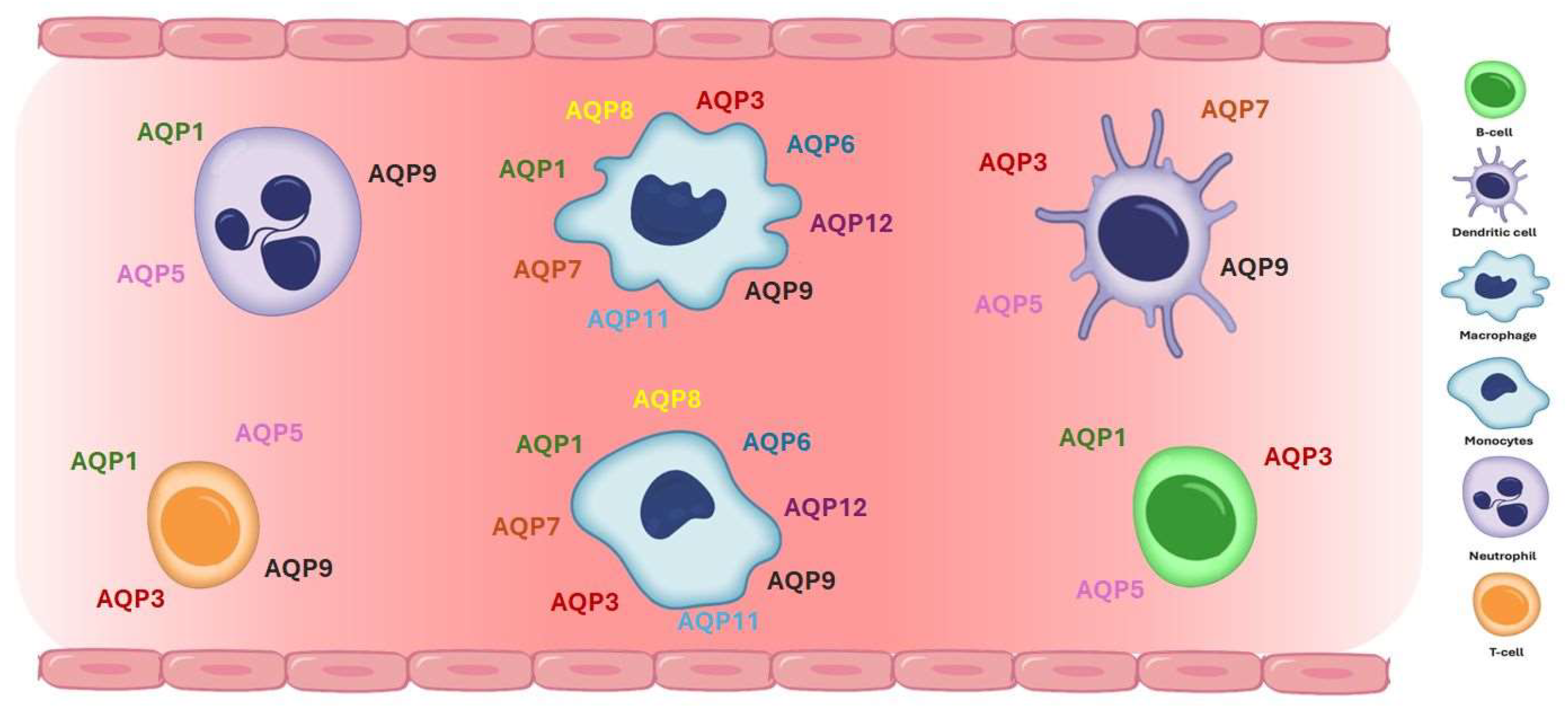 Preprints 141726 g002