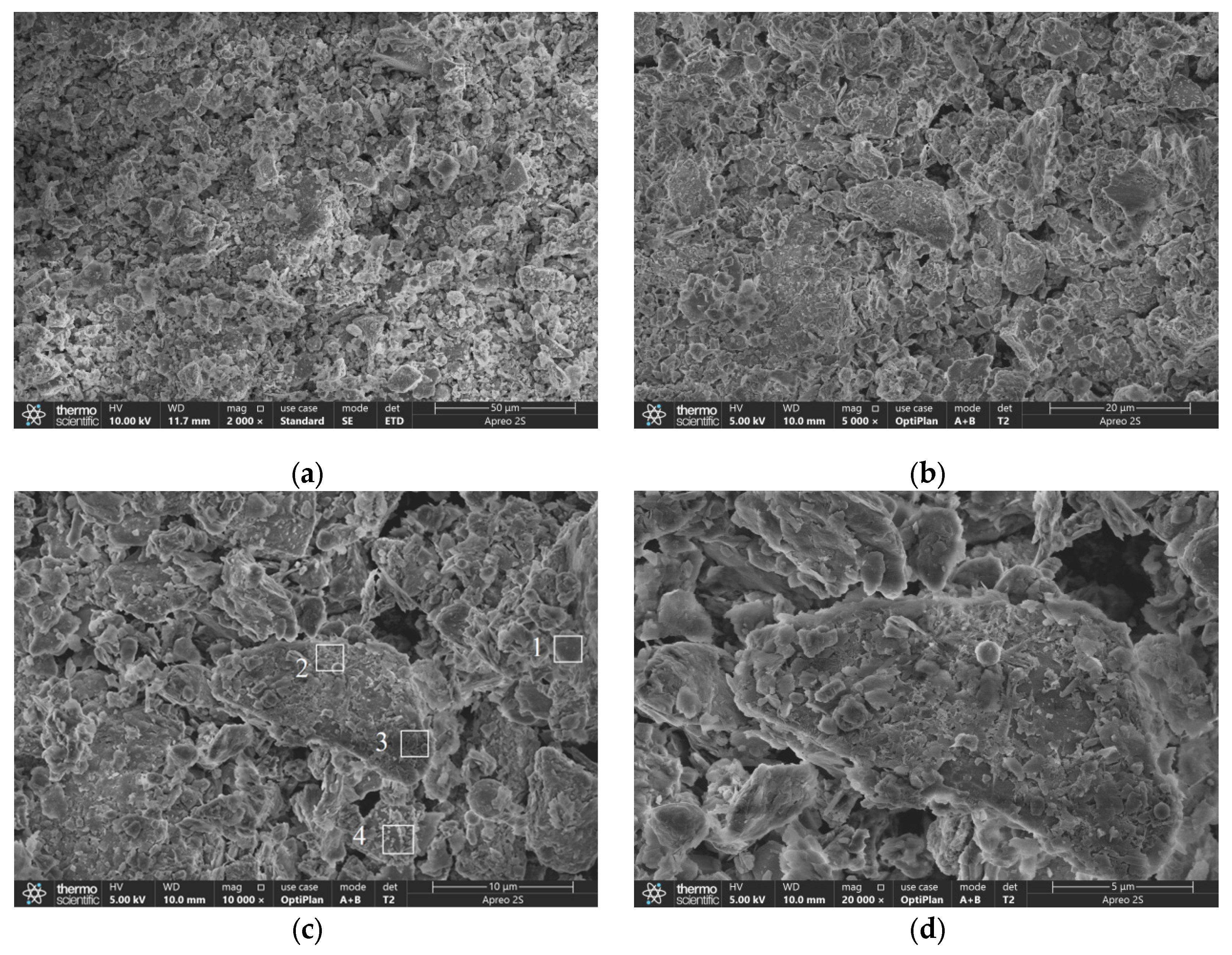 Preprints 198040 g012