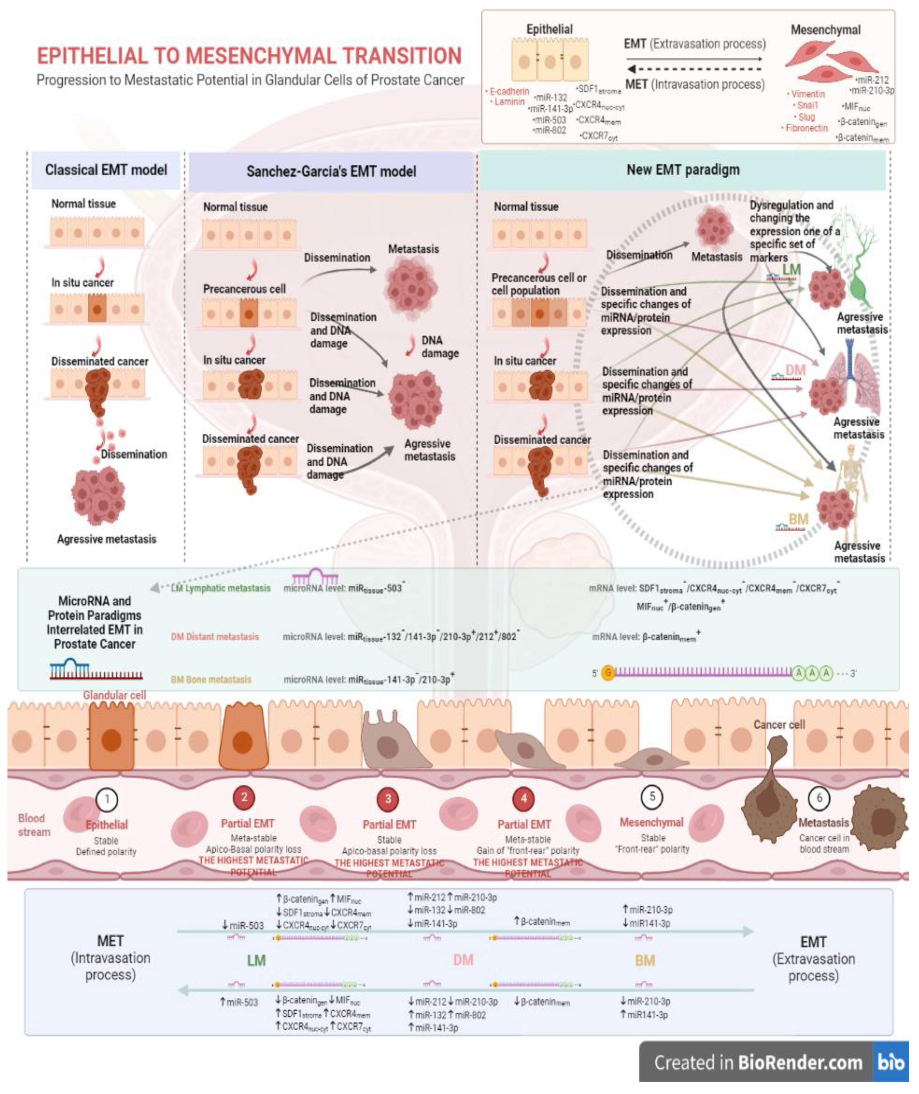 Preprints 79495 g001