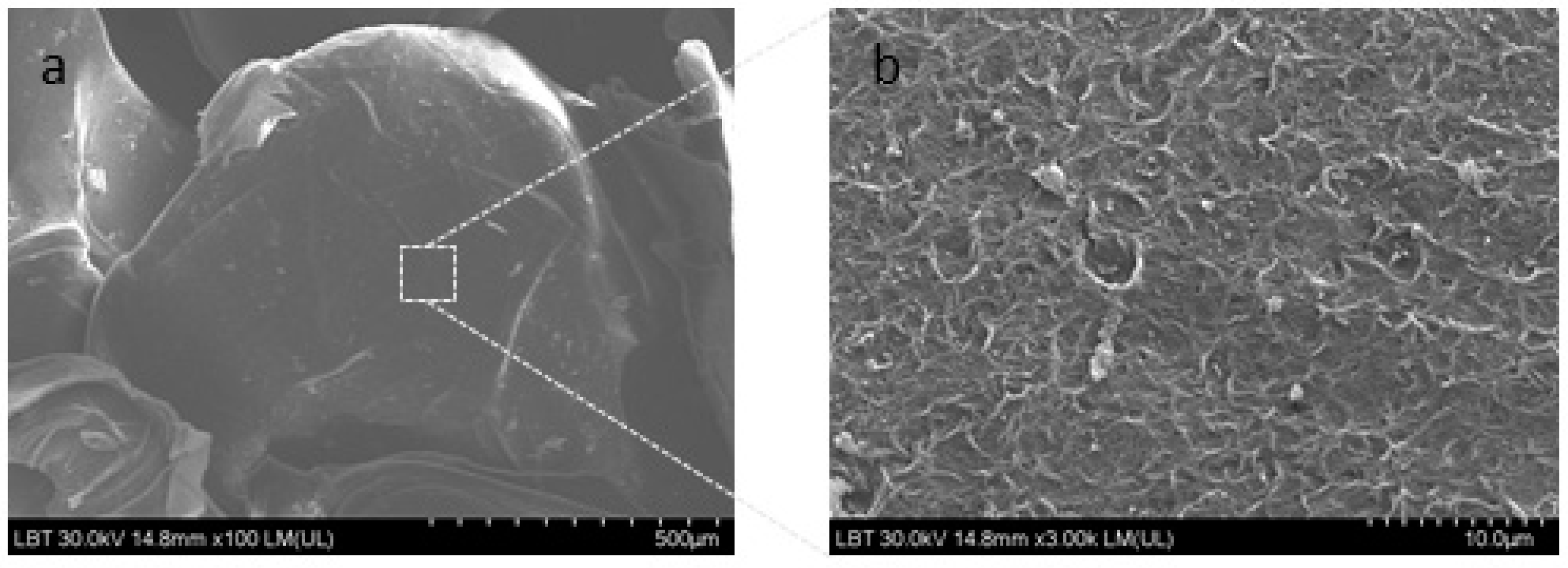 Preprints 69377 g001