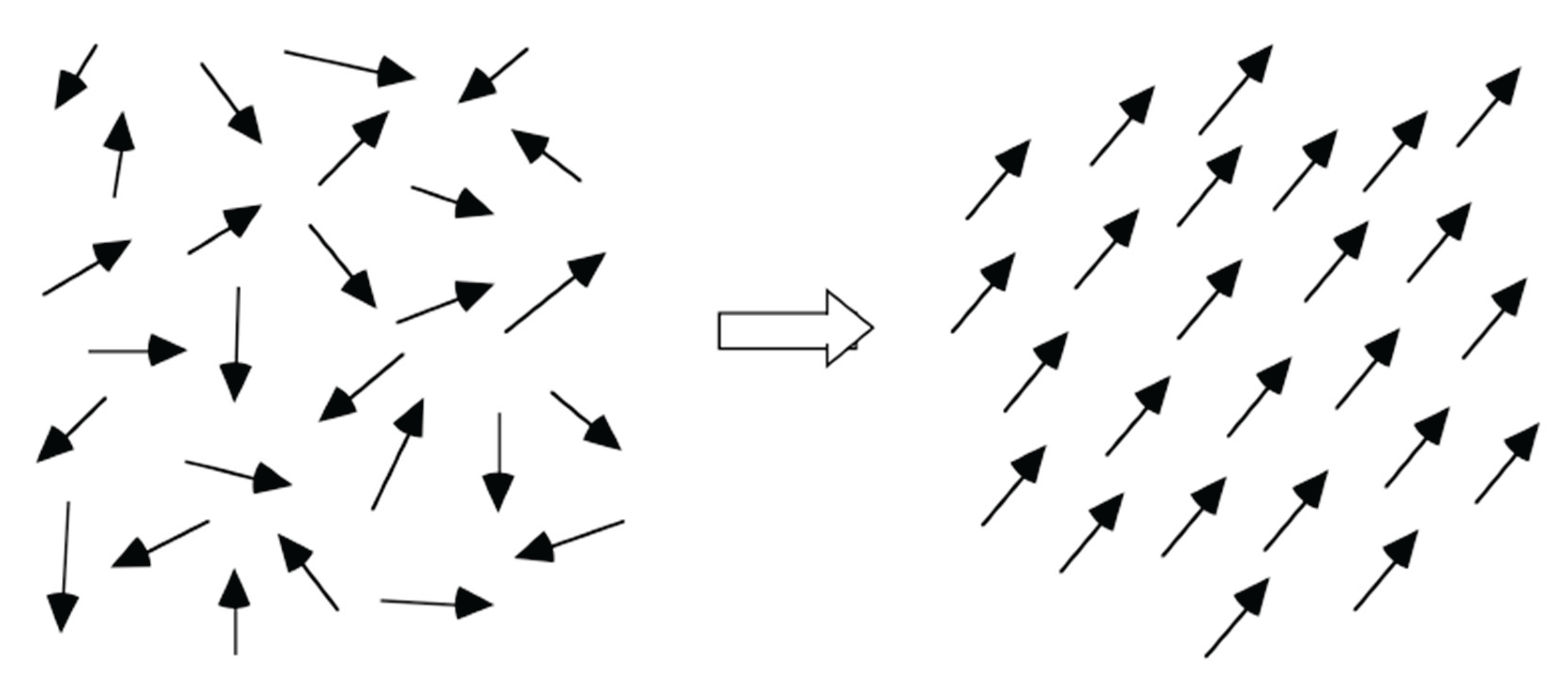 Preprints 190451 g002
