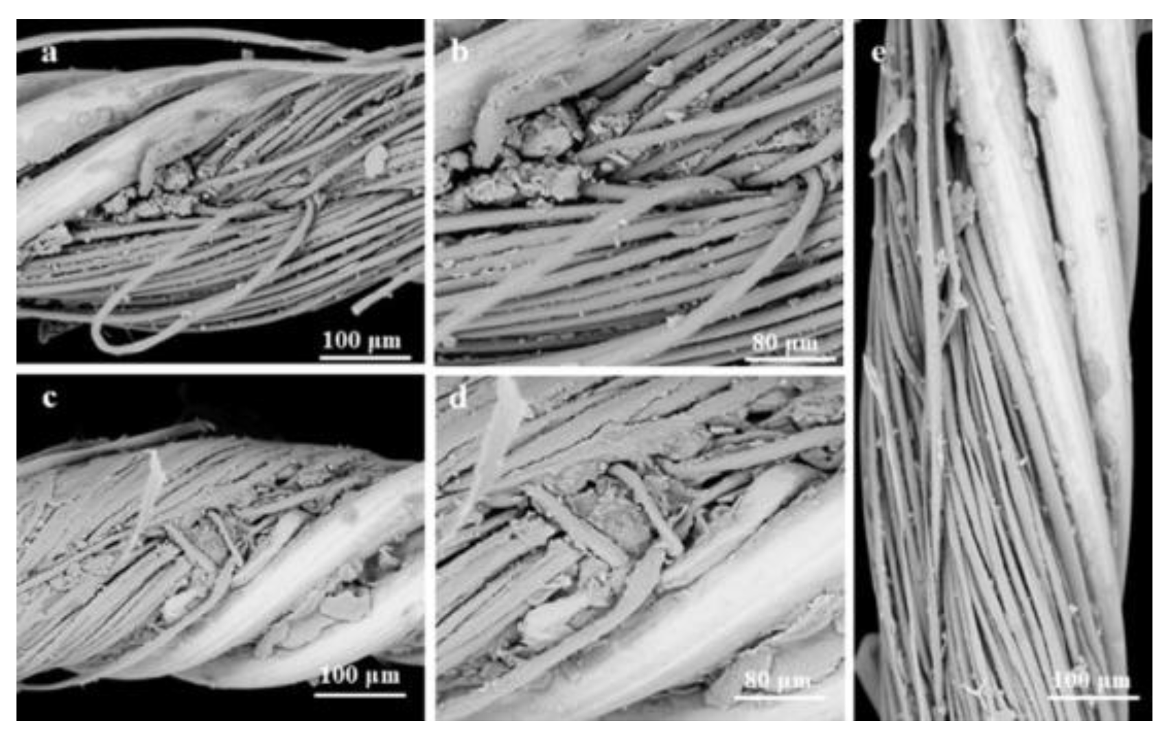Preprints 194137 g004