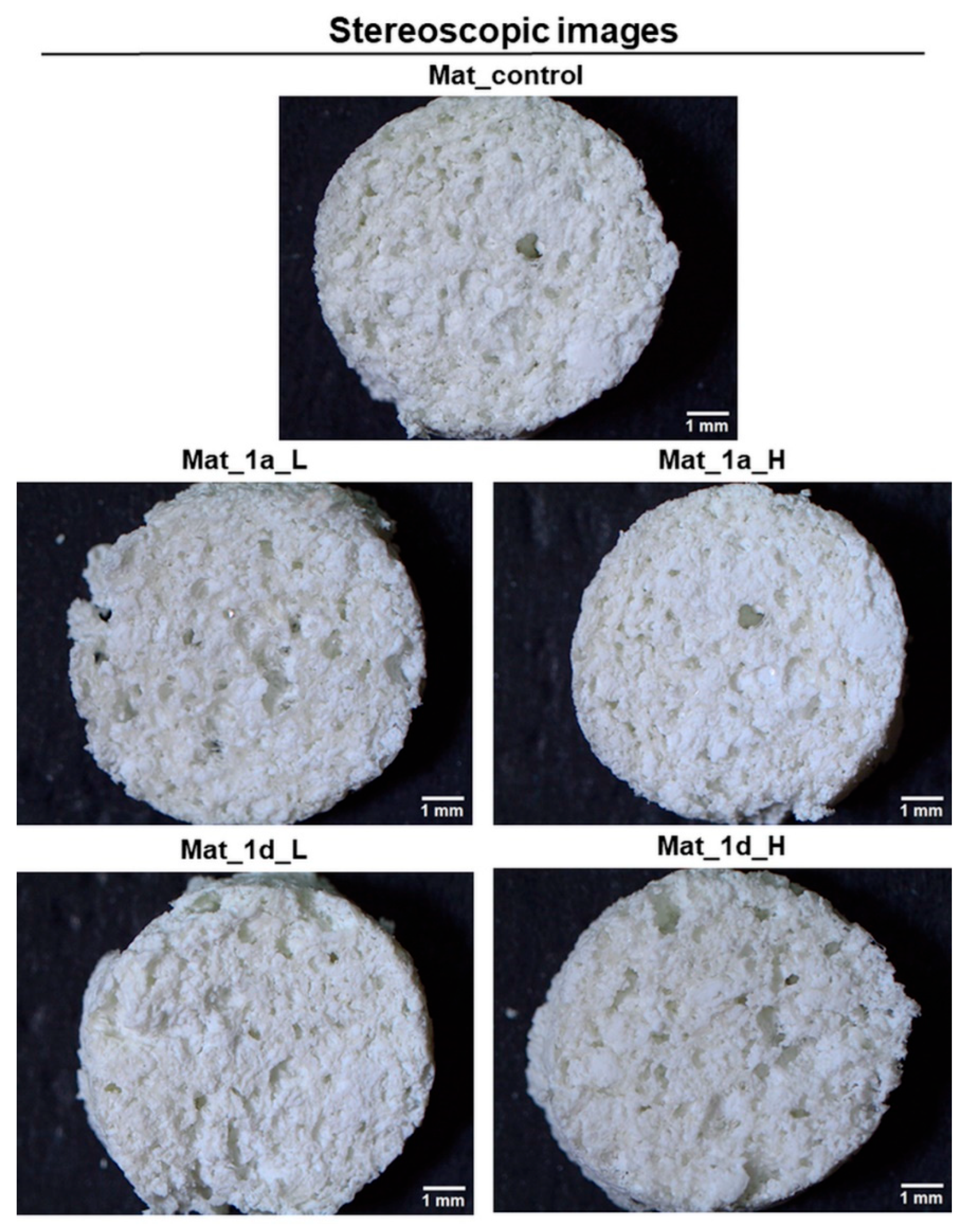 Preprints 183518 g007