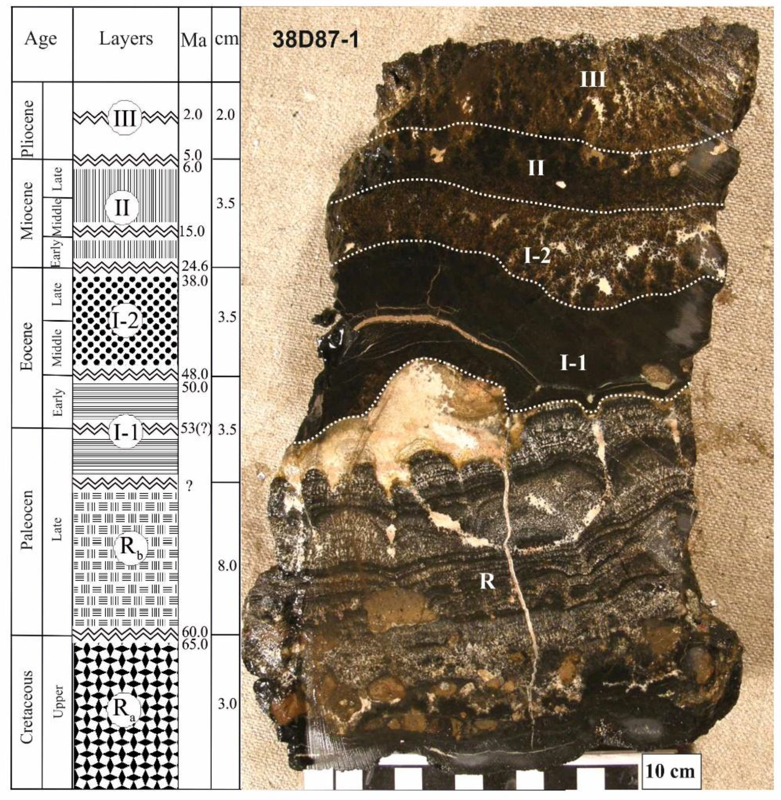 Preprints 181423 g002
