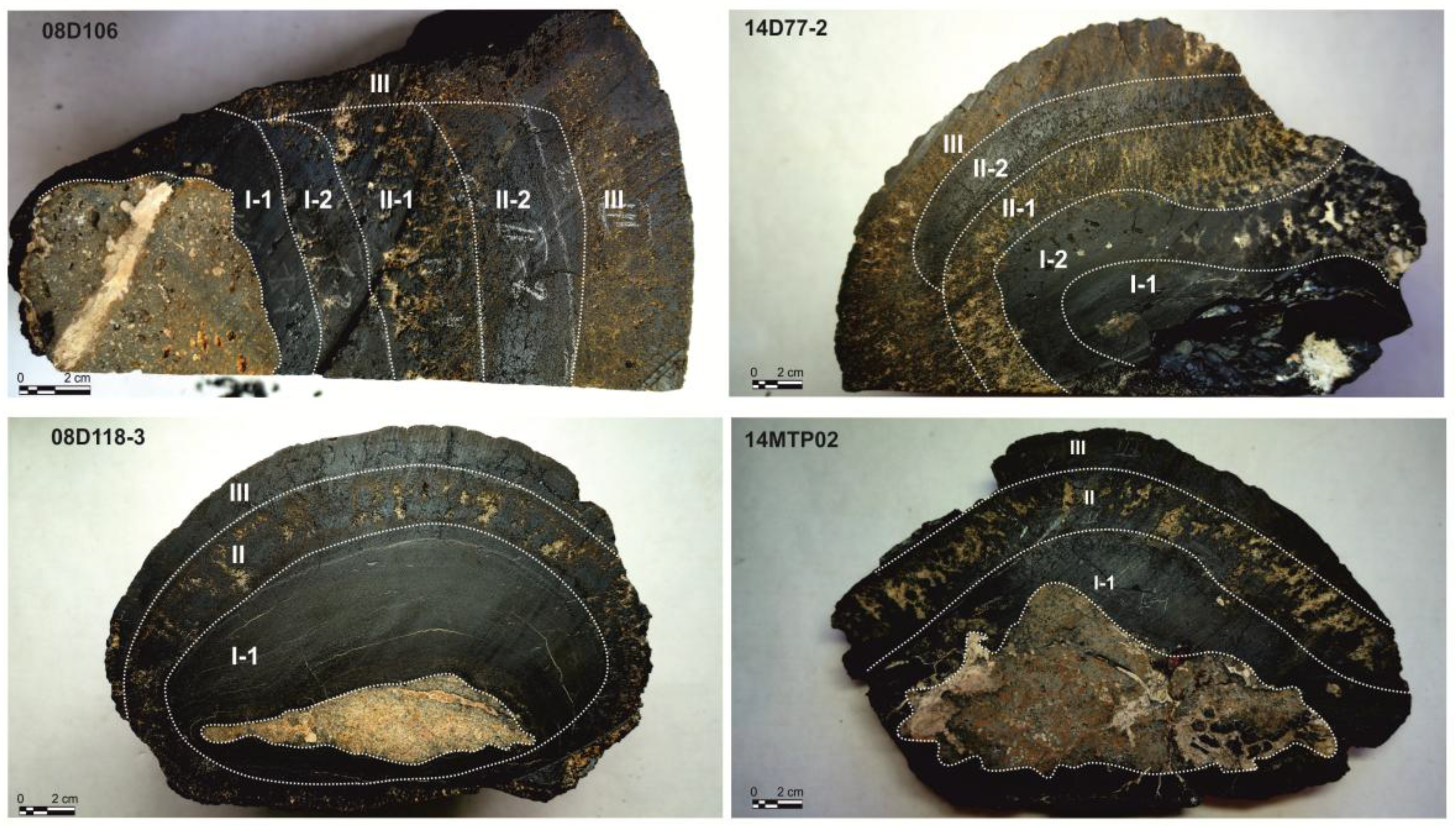 Preprints 181423 g006
