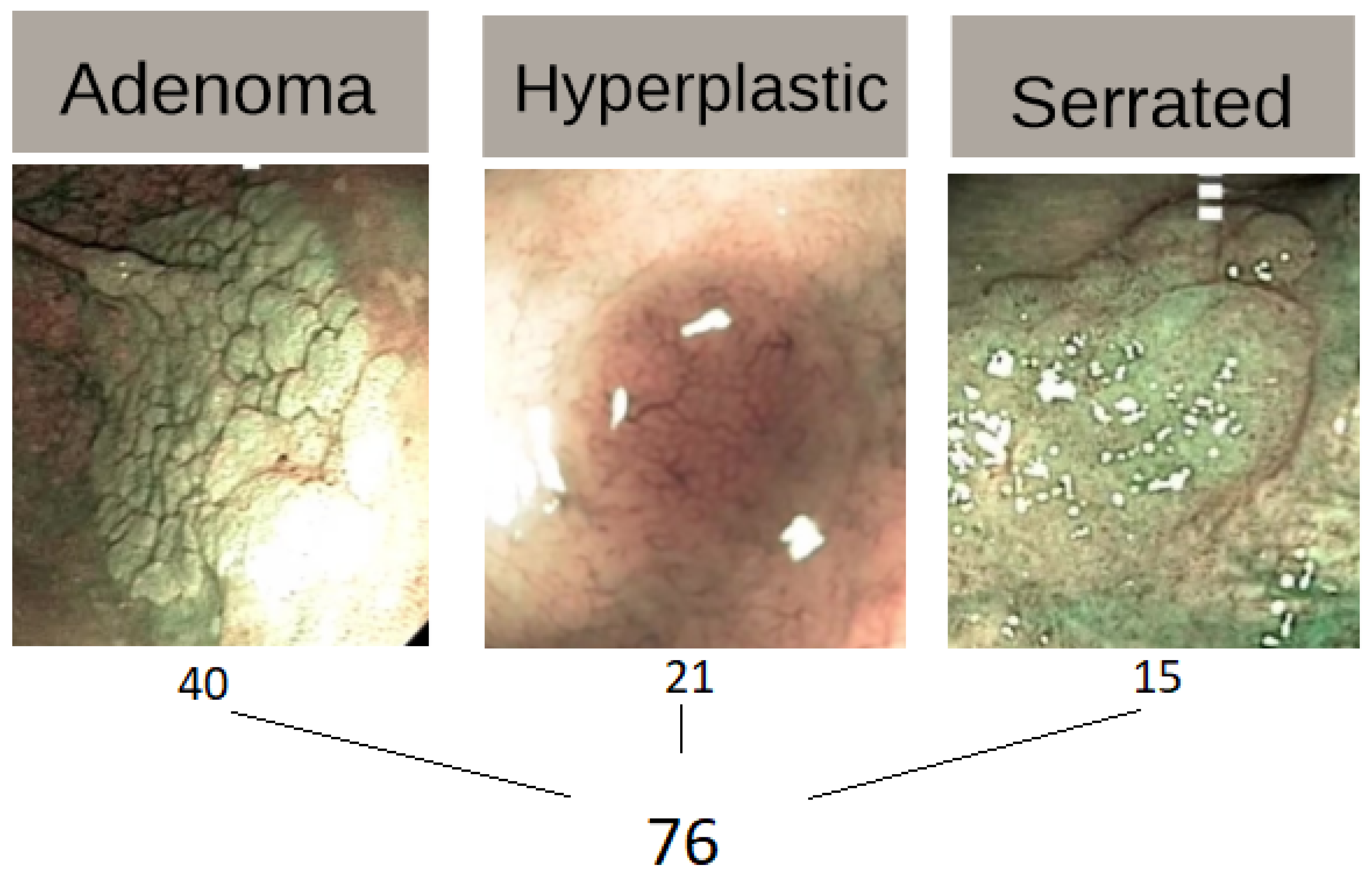 Preprints 120641 g002