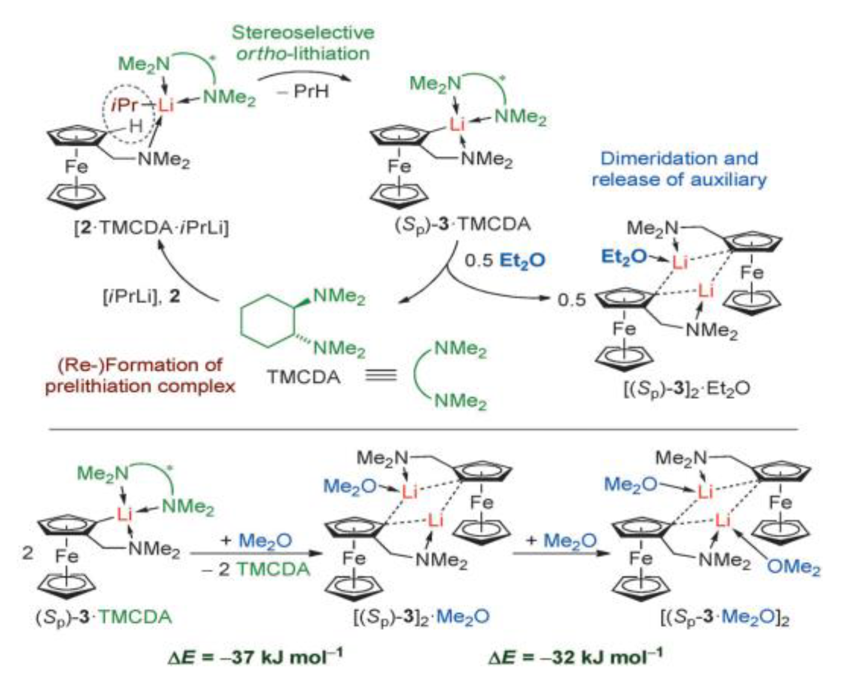 Preprints 191955 g005