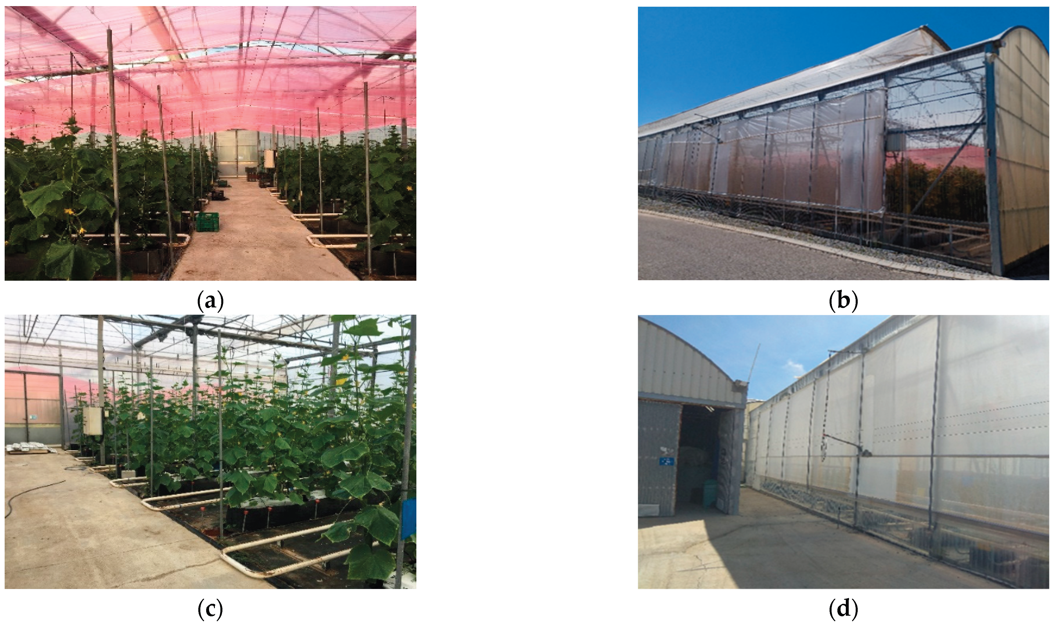 Preprints 193006 g002