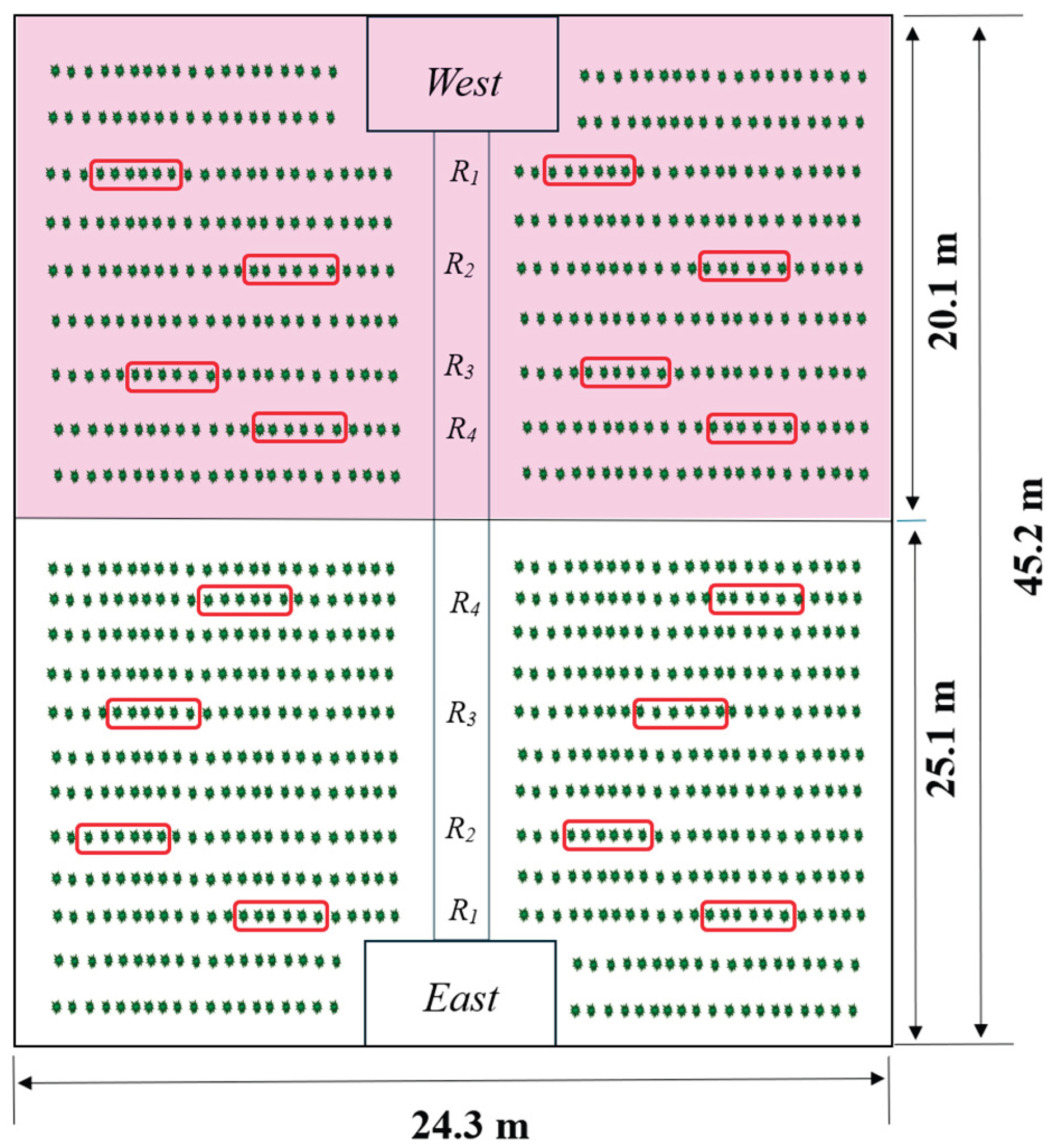 Preprints 193006 g003