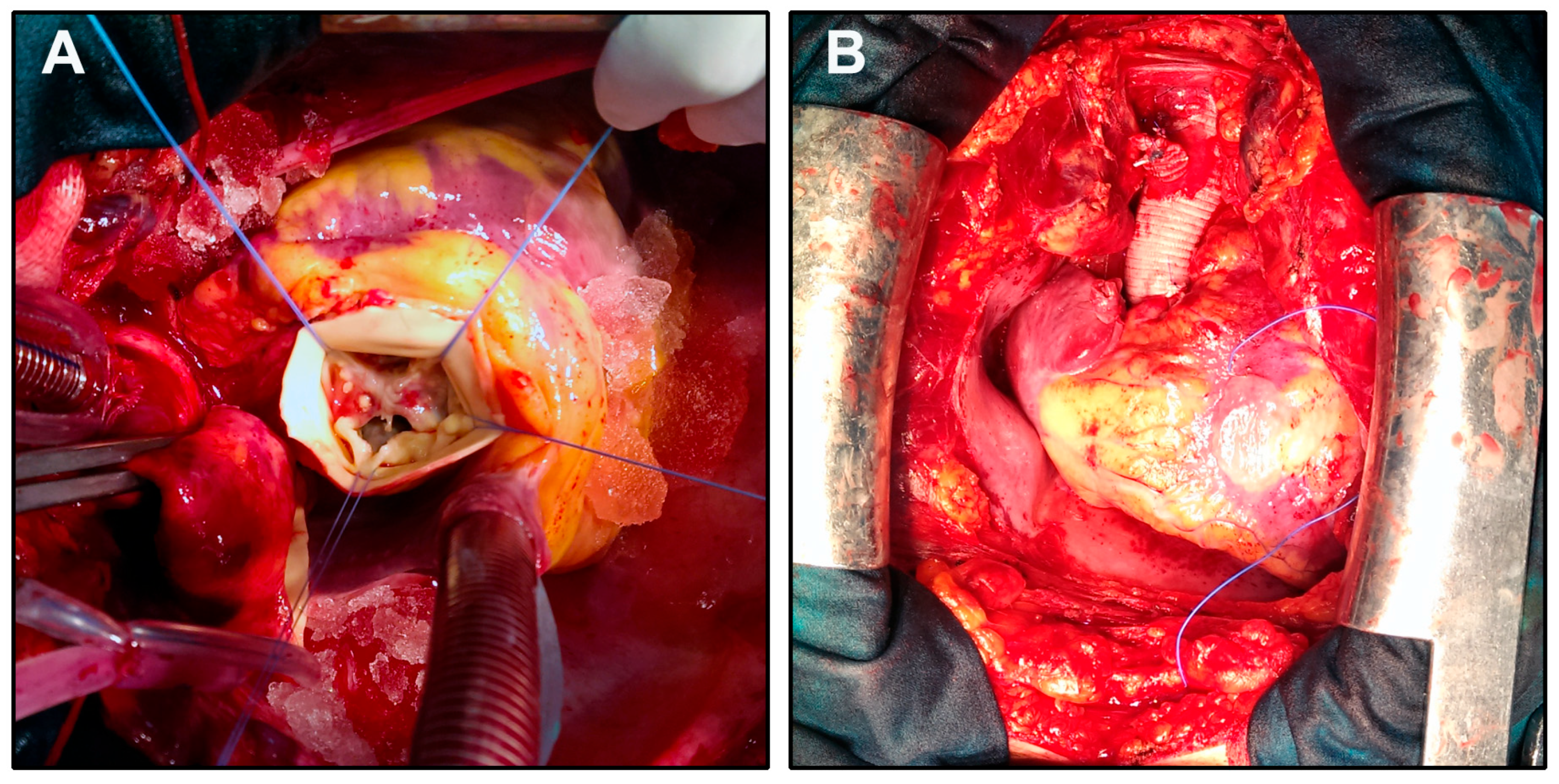 Preprints 166883 g001