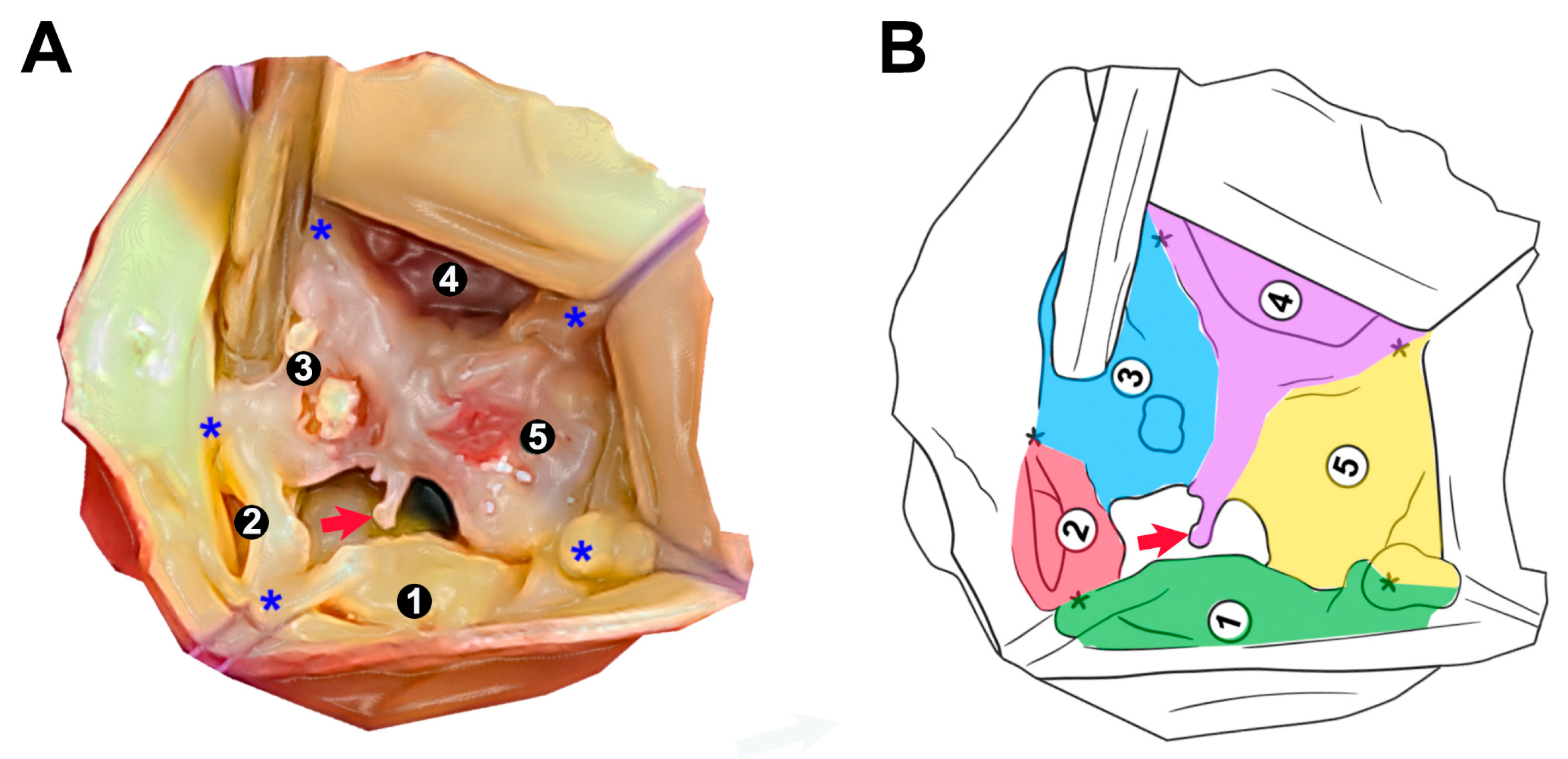 Preprints 166883 g002