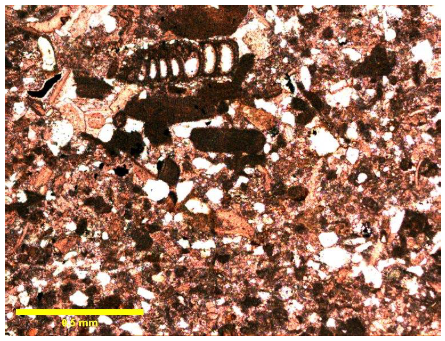 Preprints 104820 g004