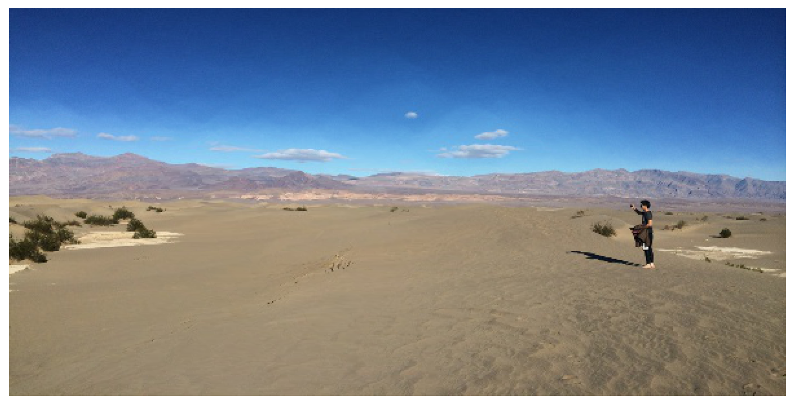 Preprints 144670 g011