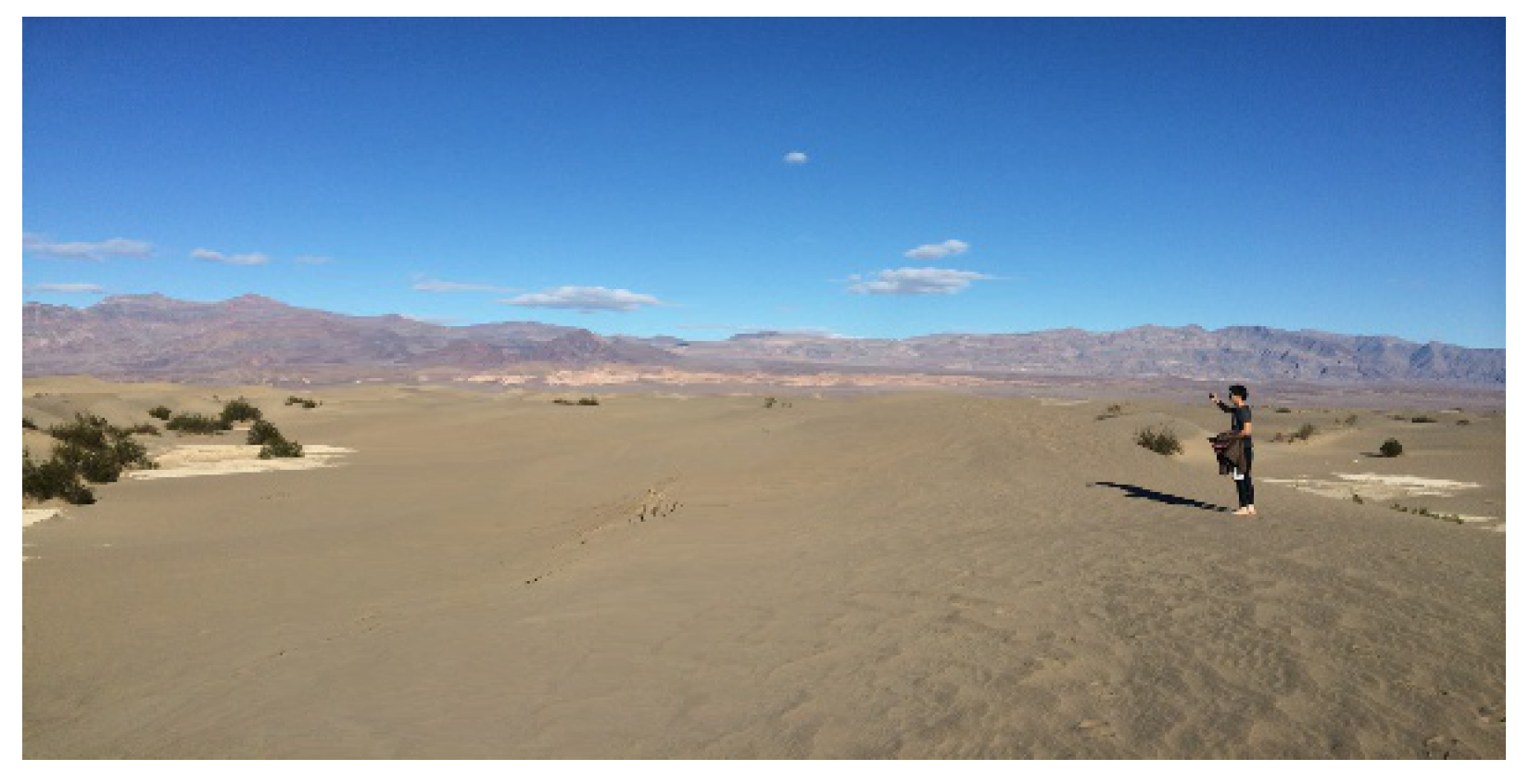 Preprints 144670 g012