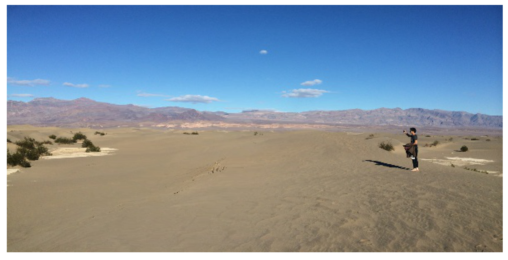 Preprints 144670 g013