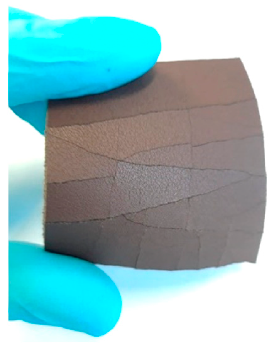 Preprints 81836 g002