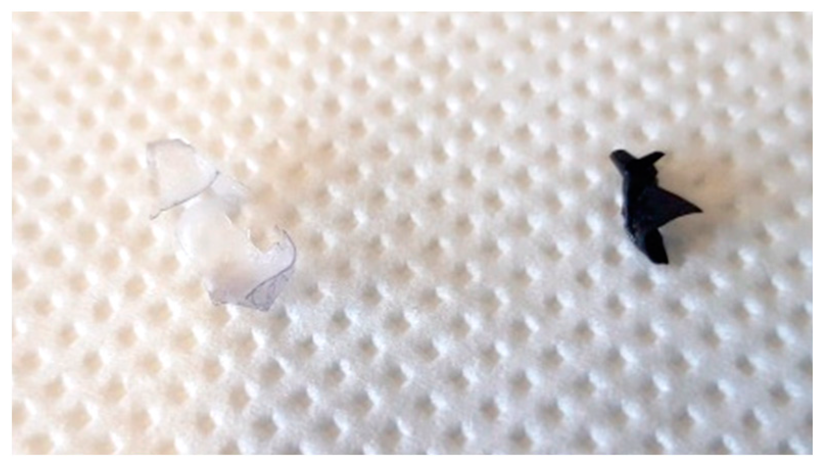 Preprints 81836 g003