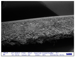 Preprints 81836 i007