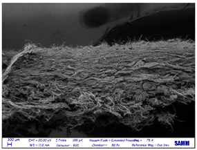 Preprints 81836 i008