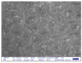 Preprints 81836 i009