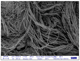 Preprints 81836 i012